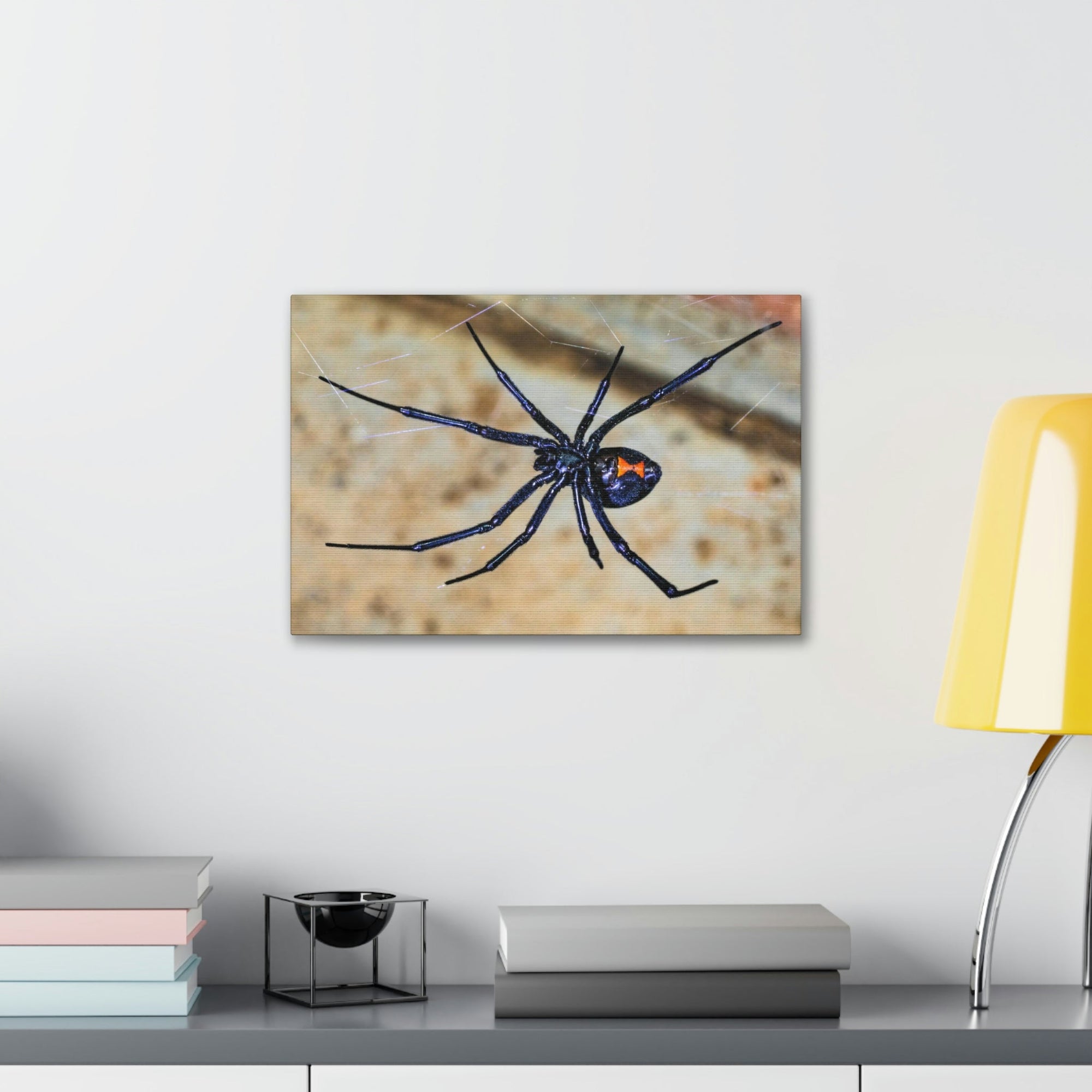 Scripture Walls Black Widow Hunting Black Widow on Hunt Print Animal Wall Art Wildlife Canvas Prints Wall Art Ready to Hang Unframed-Express Your Love Gifts