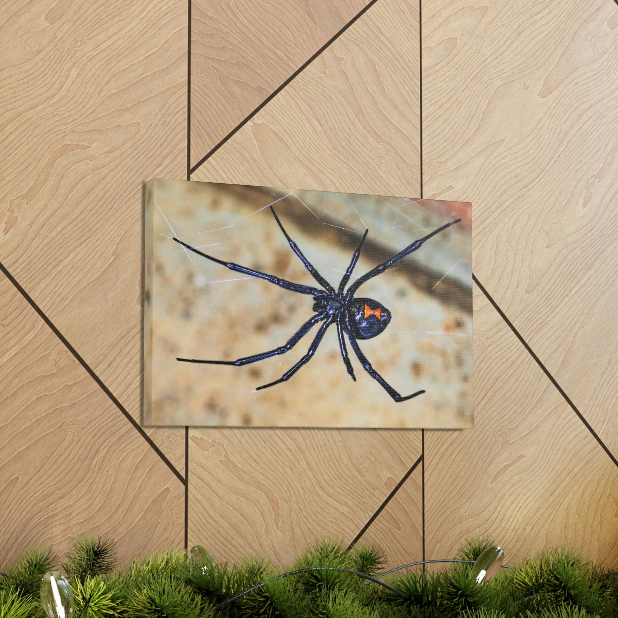 Scripture Walls Black Widow Hunting Black Widow on Hunt Print Animal Wall Art Wildlife Canvas Prints Wall Art Ready to Hang Unframed-Express Your Love Gifts