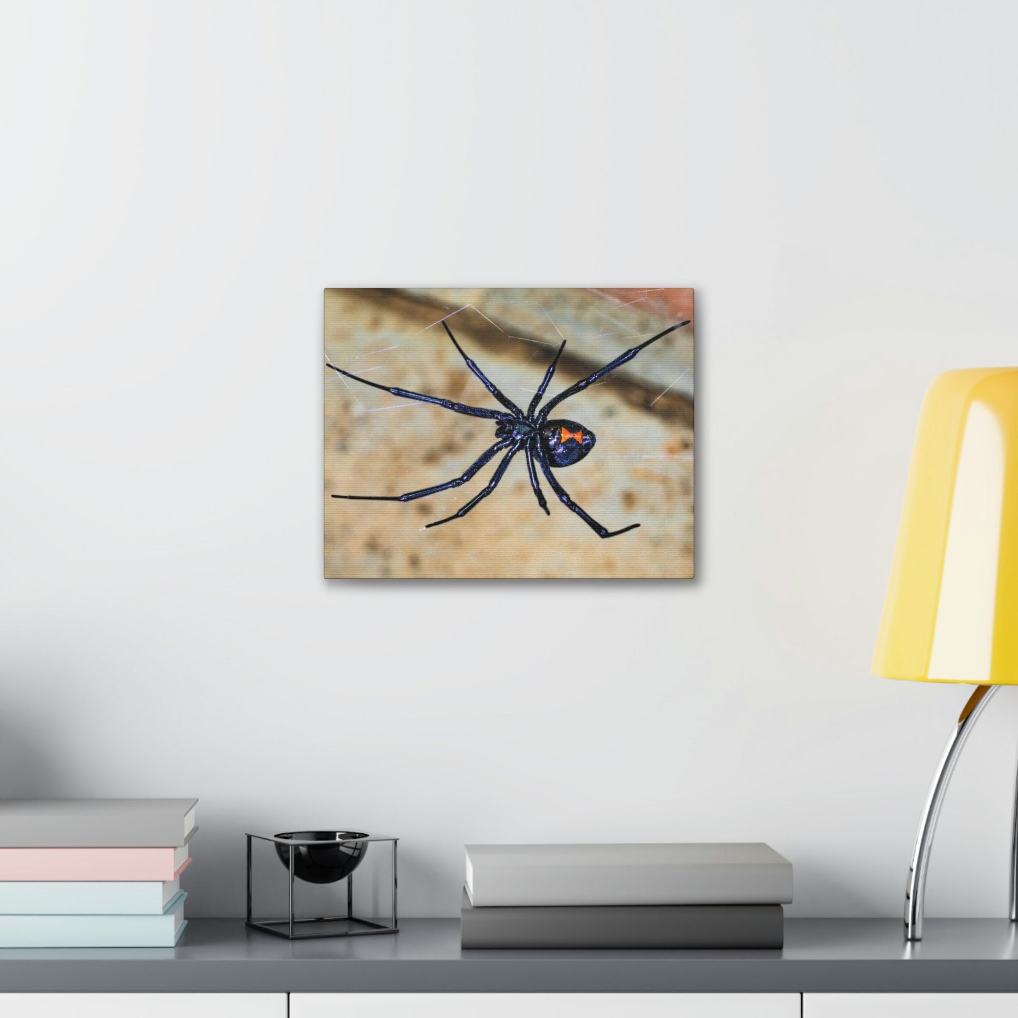 Scripture Walls Black Widow Hunting Black Widow on Hunt Print Animal Wall Art Wildlife Canvas Prints Wall Art Ready to Hang Unframed-Express Your Love Gifts