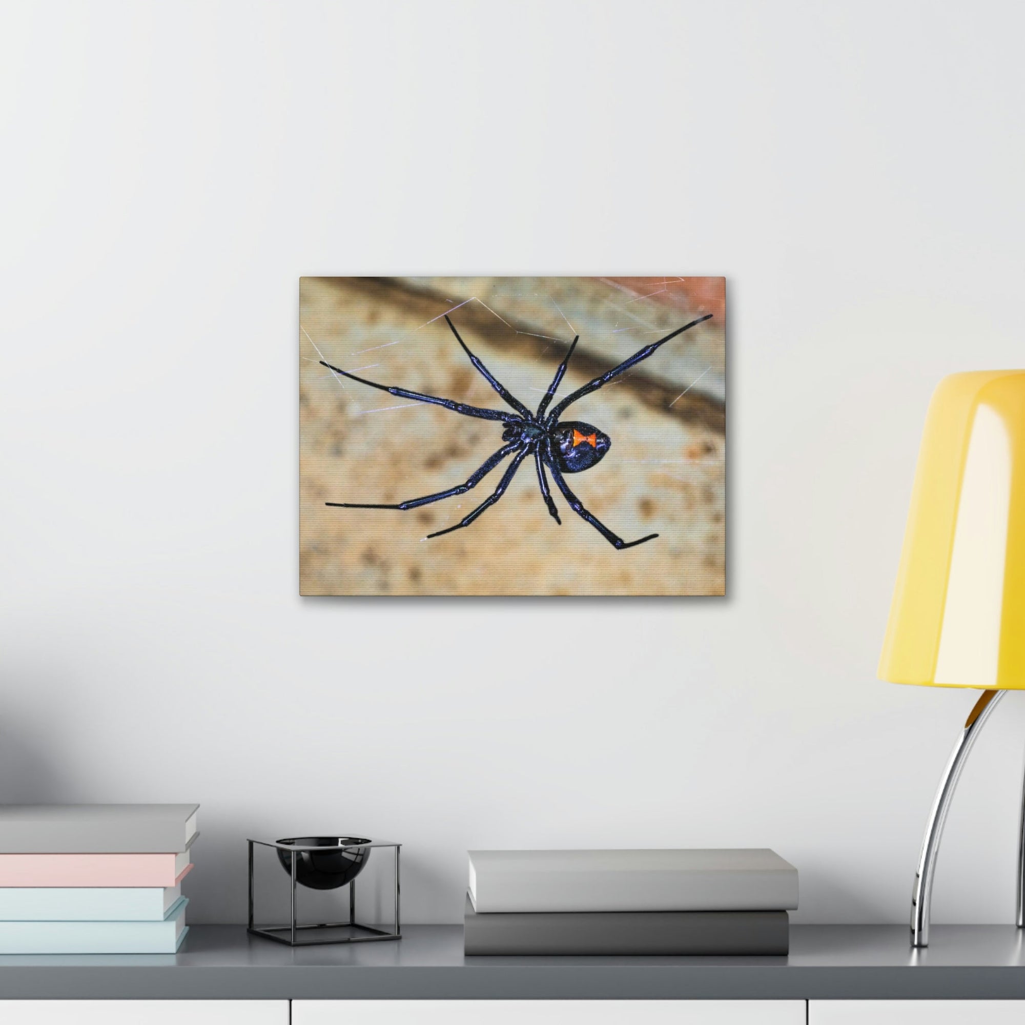 Scripture Walls Black Widow Hunting Black Widow on Hunt Print Animal Wall Art Wildlife Canvas Prints Wall Art Ready to Hang Unframed-Express Your Love Gifts