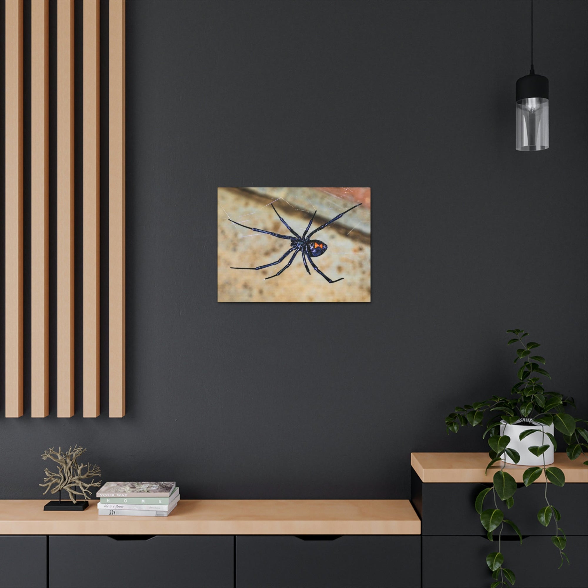 Scripture Walls Black Widow Hunting Black Widow on Hunt Print Animal Wall Art Wildlife Canvas Prints Wall Art Ready to Hang Unframed-Express Your Love Gifts