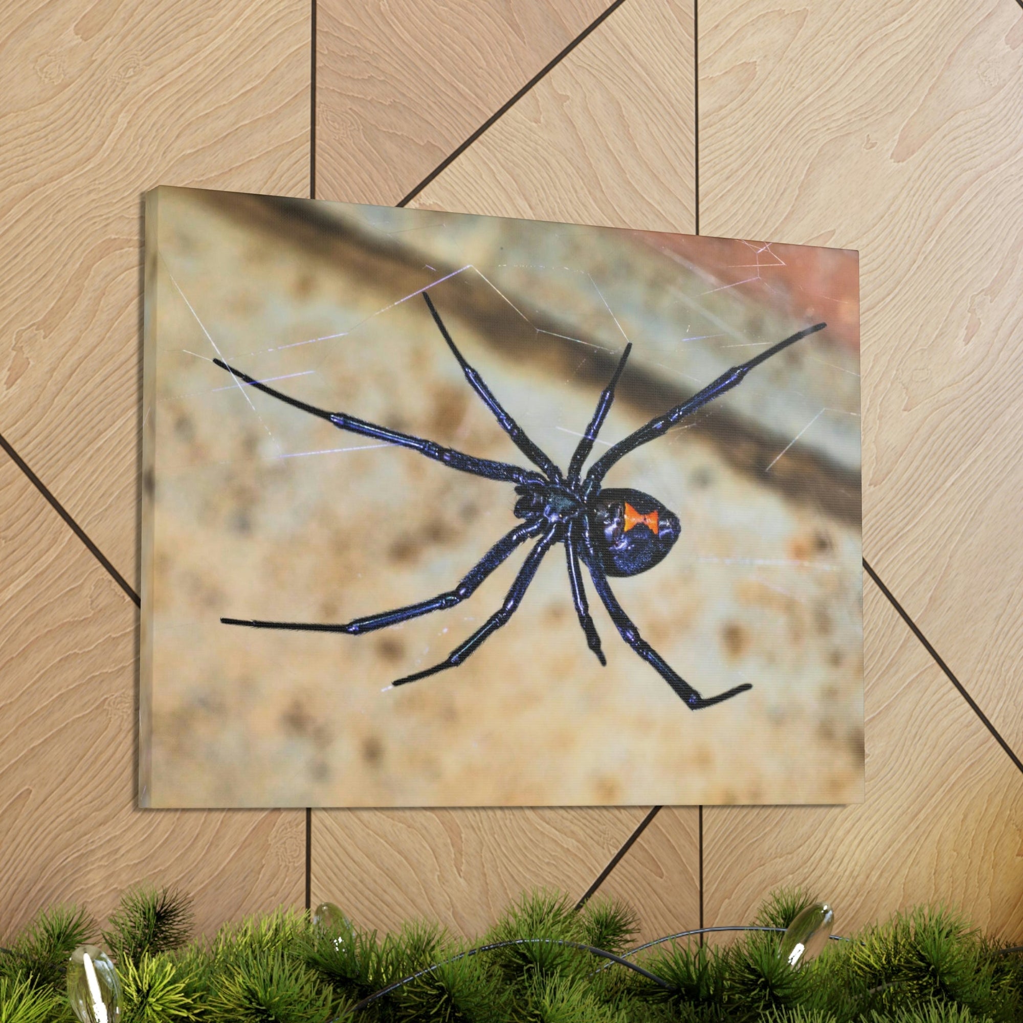 Scripture Walls Black Widow Hunting Black Widow on Hunt Print Animal Wall Art Wildlife Canvas Prints Wall Art Ready to Hang Unframed-Express Your Love Gifts