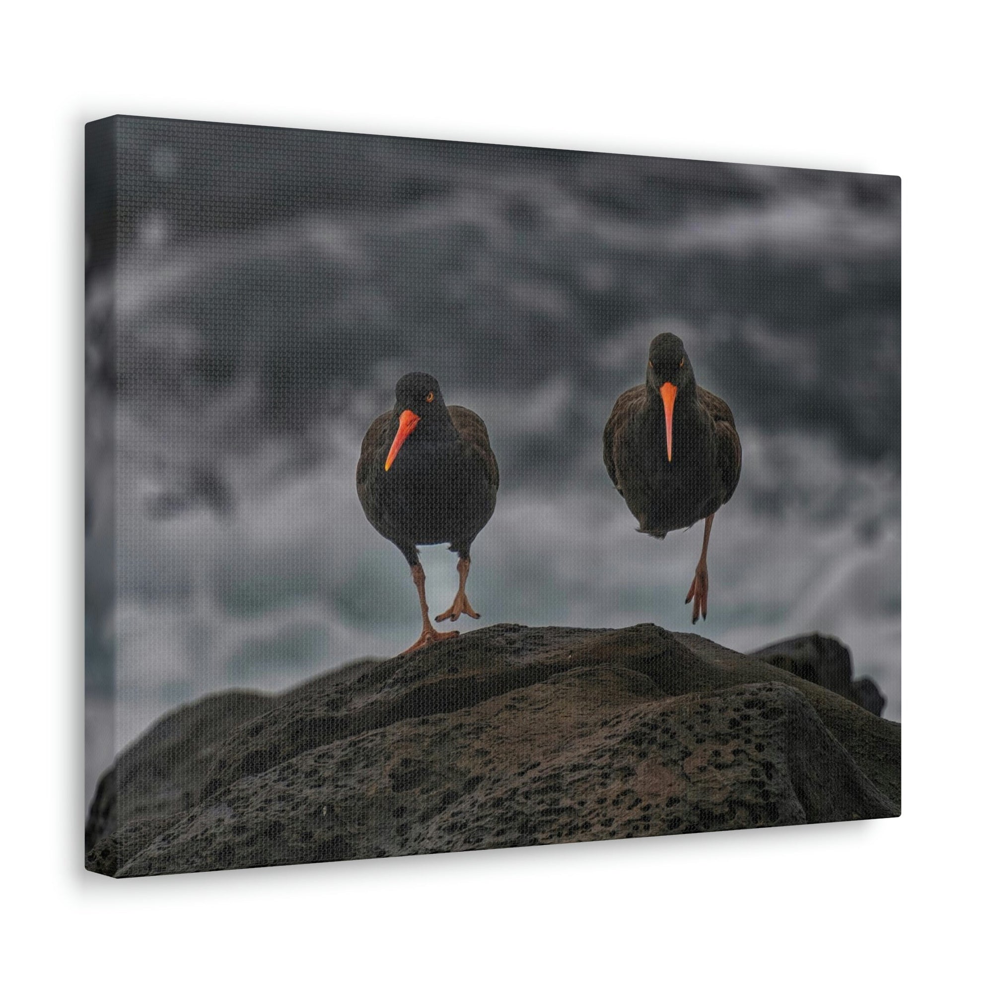 Scripture Walls Blackbird Couple Blackbird Troop Print Animal Wall Art Wildlife Canvas Prints Wall Art Ready to Hang Unframed-Express Your Love Gifts