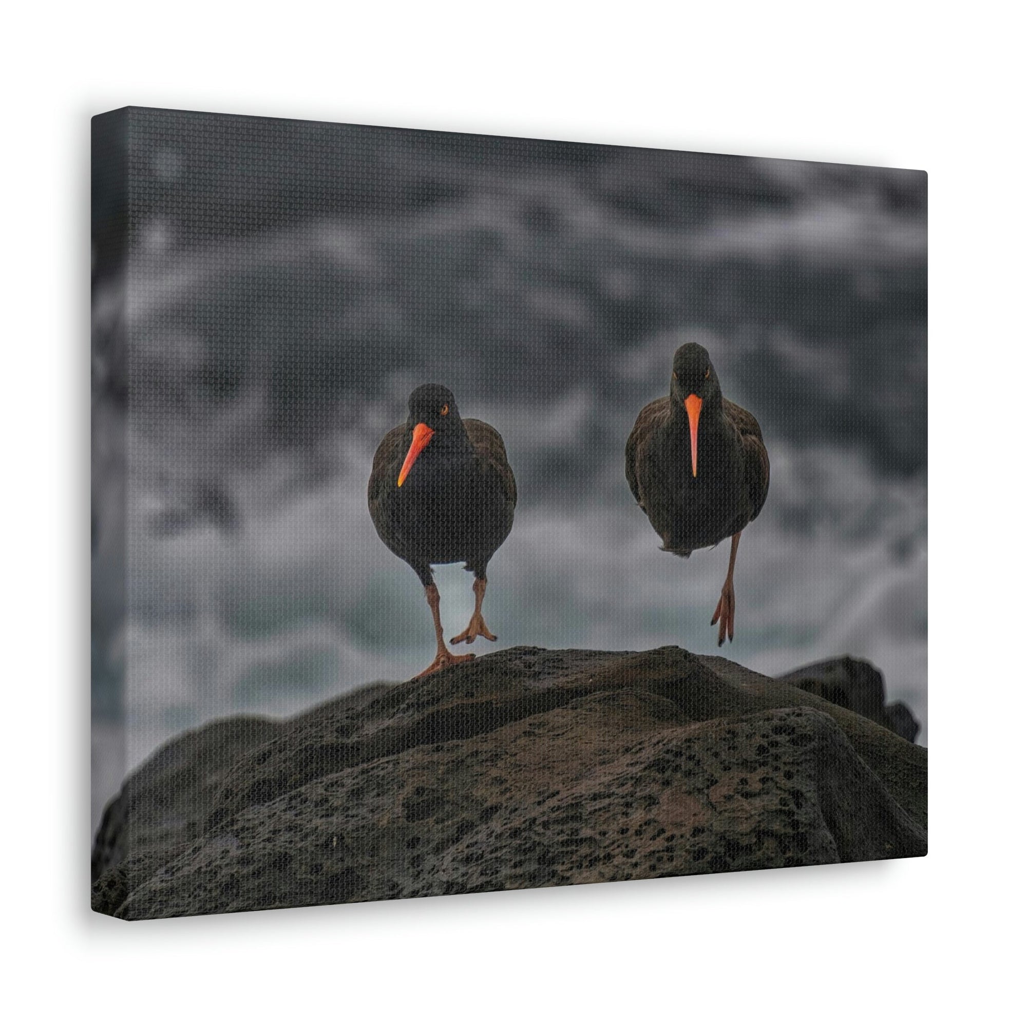 Scripture Walls Blackbird Couple Blackbird Troop Print Animal Wall Art Wildlife Canvas Prints Wall Art Ready to Hang Unframed-Express Your Love Gifts