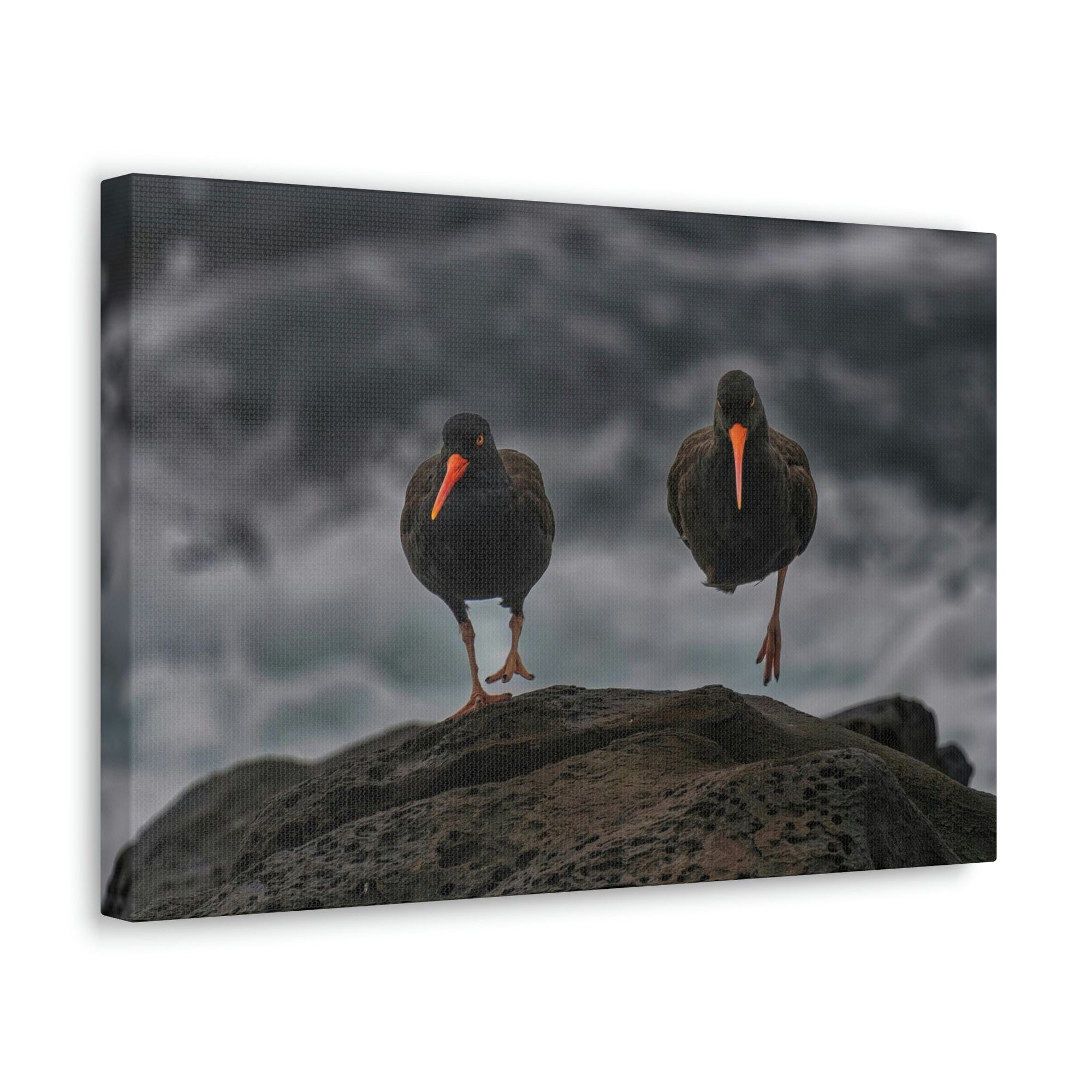 Scripture Walls Blackbird Couple Blackbird Troop Print Animal Wall Art Wildlife Canvas Prints Wall Art Ready to Hang Unframed-Express Your Love Gifts