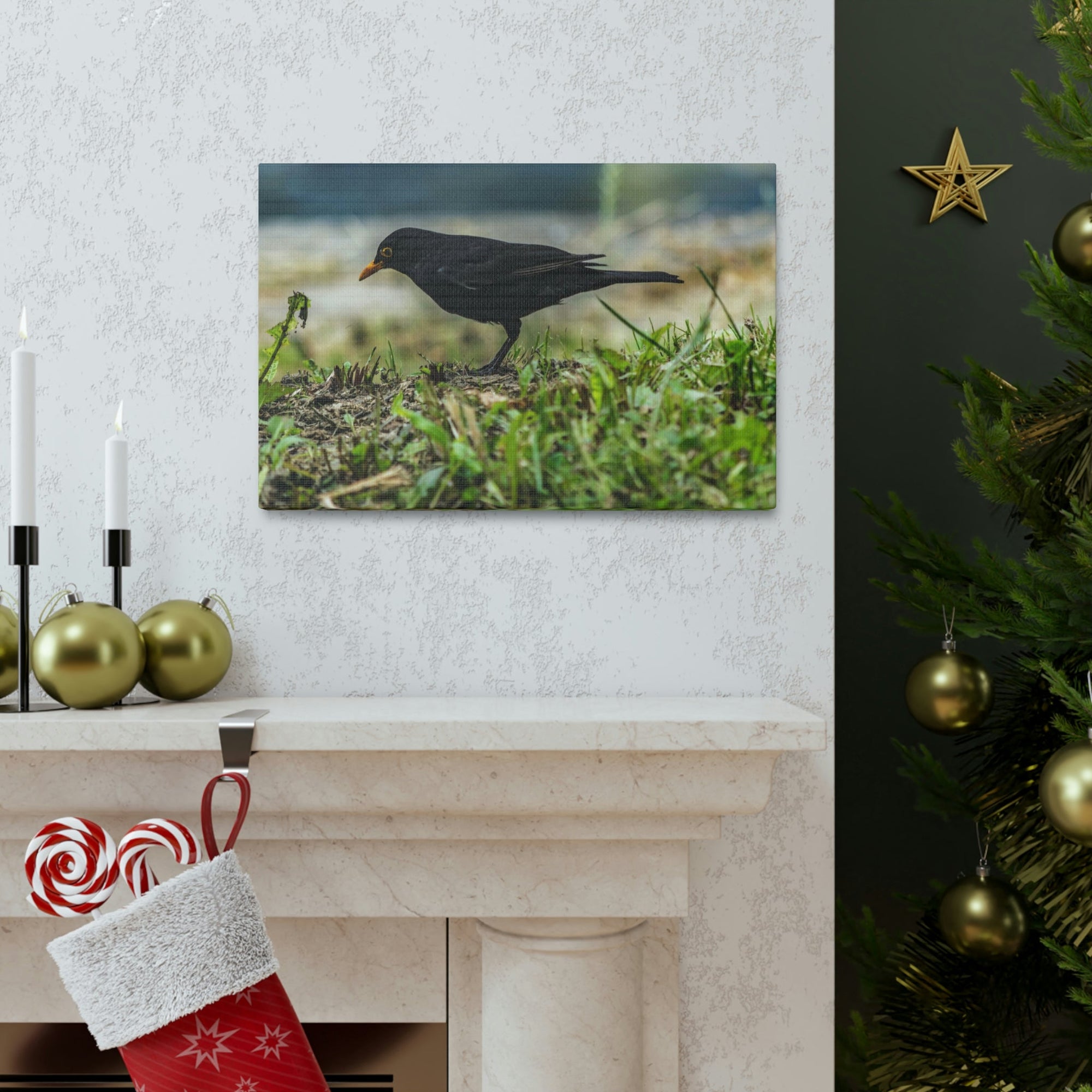 Scripture Walls Blackbird Hunting Blackbird on Hunt Print Animal Wall Art Wildlife Canvas Prints Wall Art Ready to Hang Unframed-Express Your Love Gifts