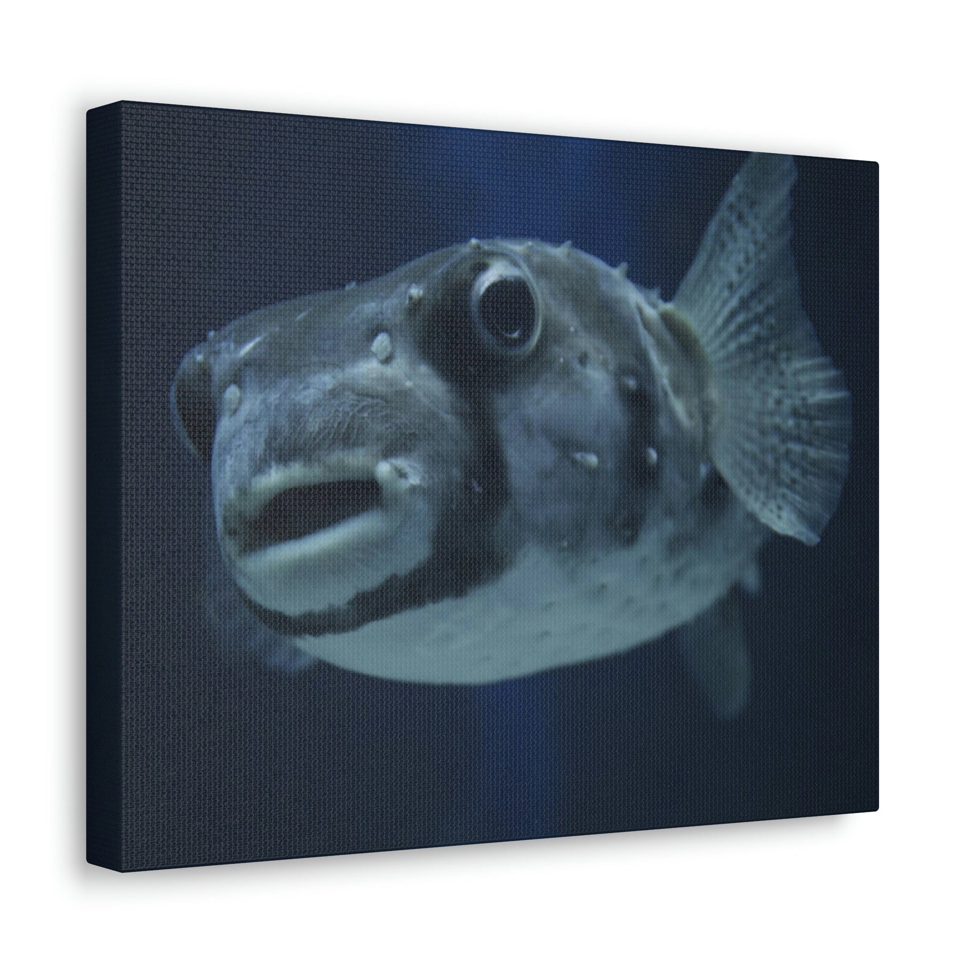 Scripture Walls Blowfish Hunting Blowfish on Hunt Print Animal Wall Art Wildlife Canvas Prints Wall Art Ready to Hang Unframed-Express Your Love Gifts