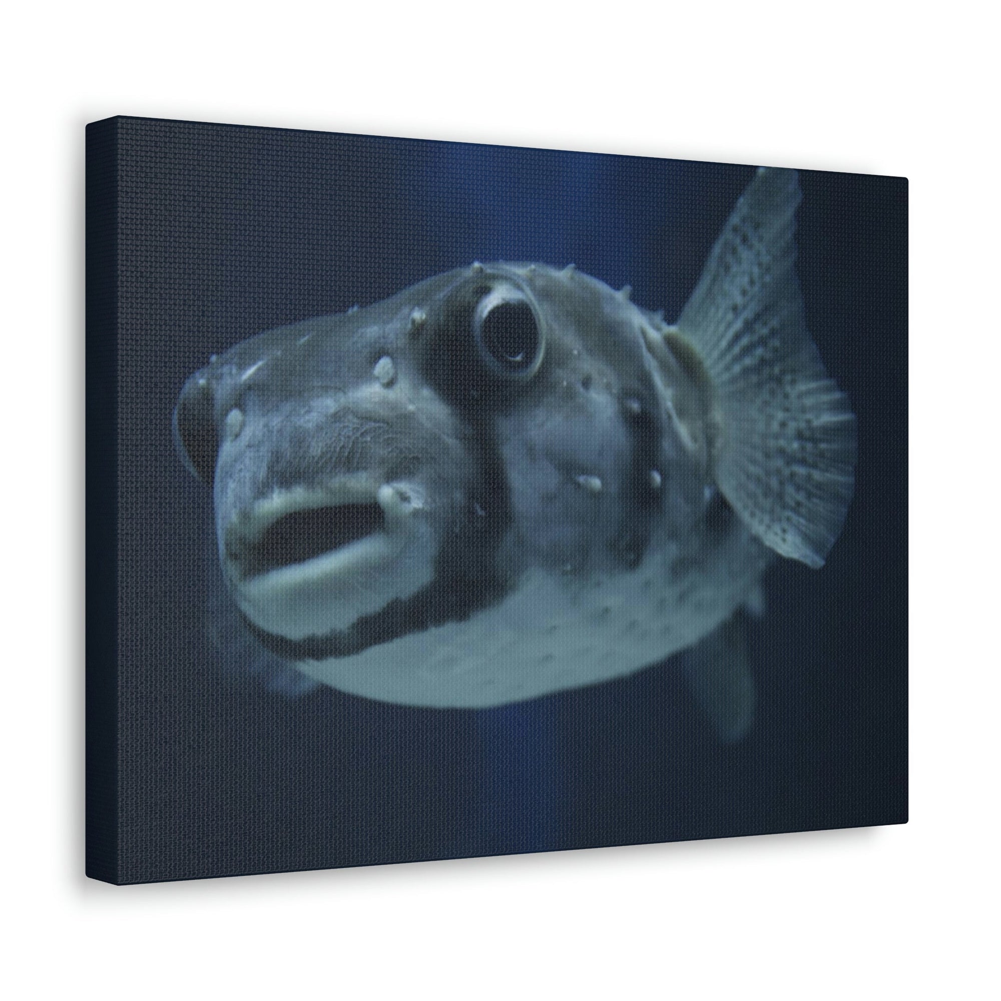 Scripture Walls Blowfish Hunting Blowfish on Hunt Print Animal Wall Art Wildlife Canvas Prints Wall Art Ready to Hang Unframed-Express Your Love Gifts