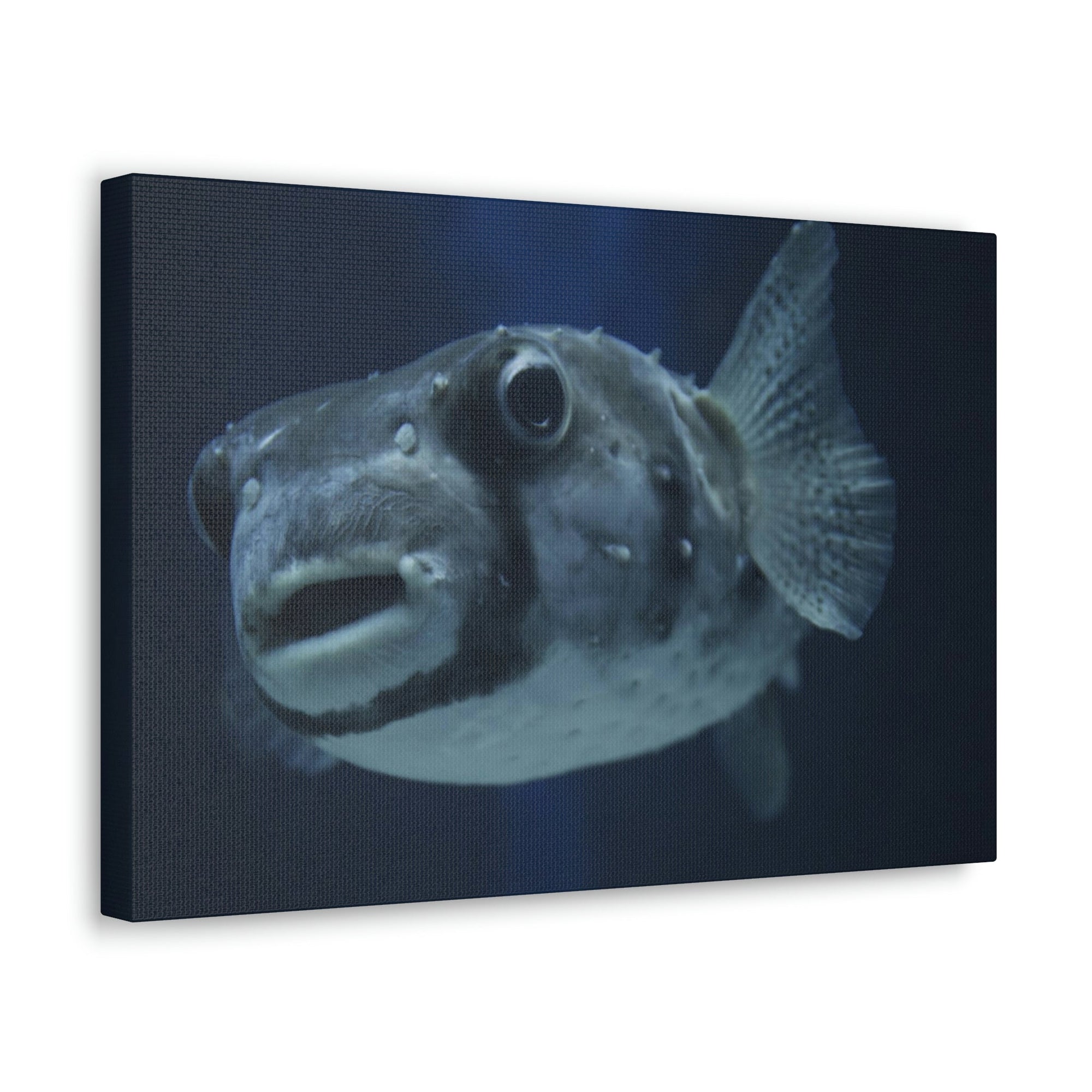 Scripture Walls Blowfish Hunting Blowfish on Hunt Print Animal Wall Art Wildlife Canvas Prints Wall Art Ready to Hang Unframed-Express Your Love Gifts