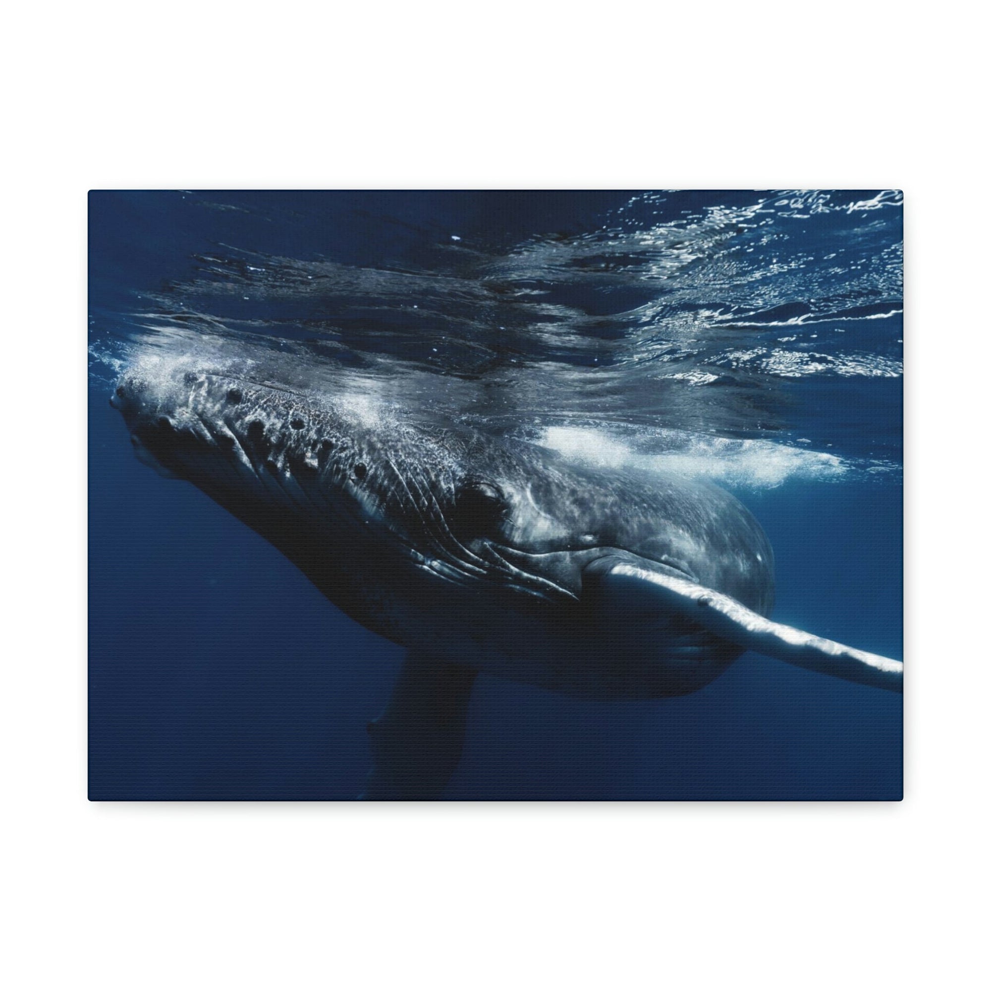 Scripture Walls Blue Whale Hunting Blue Whale on Hunt Print Animal Wall Art Wildlife Canvas Prints Wall Art Ready to Hang Unframed-Express Your Love Gifts