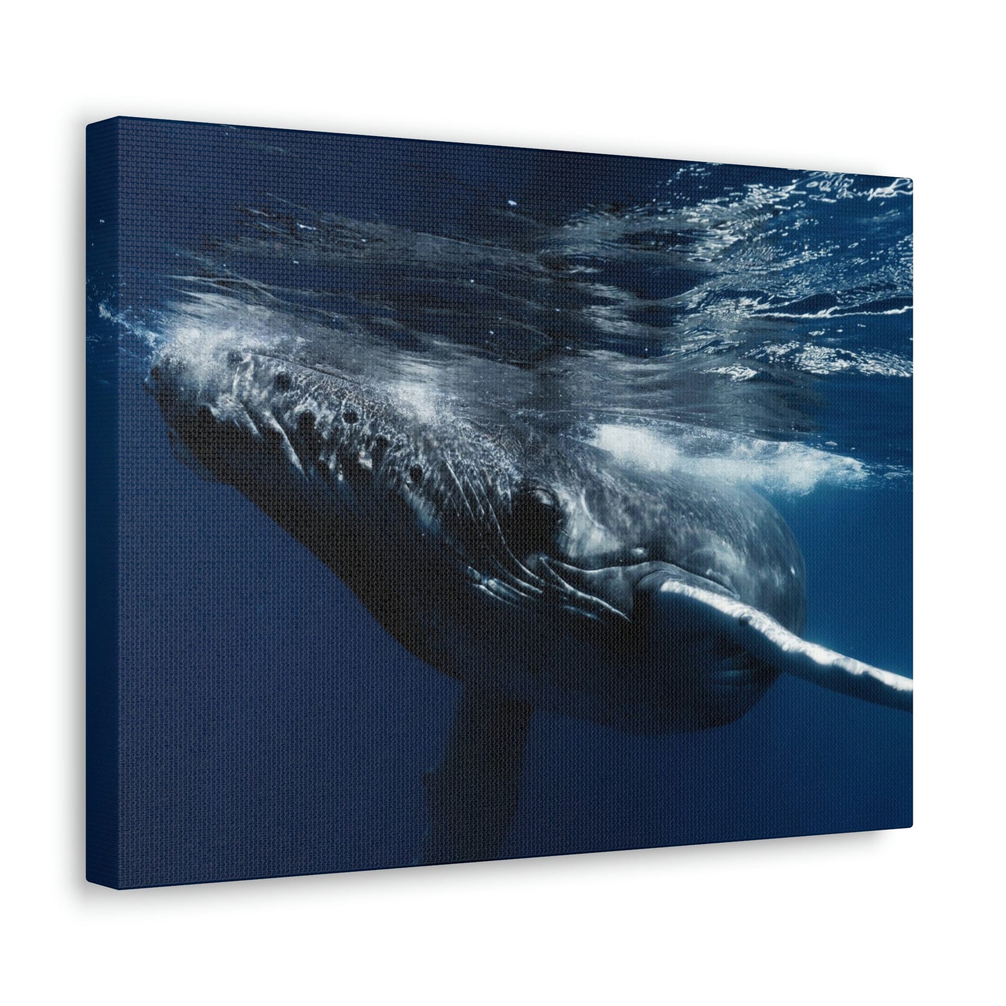 Scripture Walls Blue Whale Hunting Blue Whale on Hunt Print Animal Wall Art Wildlife Canvas Prints Wall Art Ready to Hang Unframed-Express Your Love Gifts