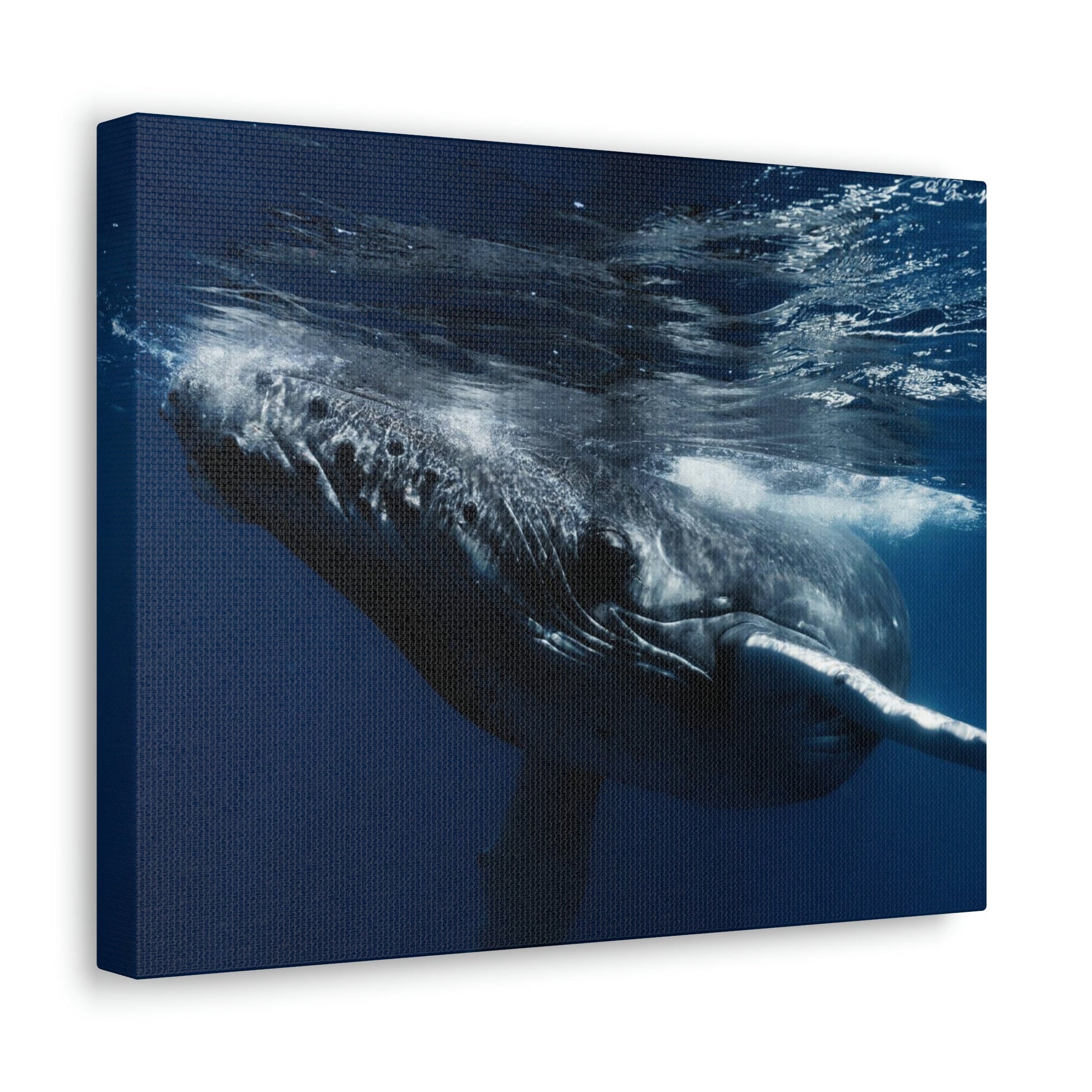 Scripture Walls Blue Whale Hunting Blue Whale on Hunt Print Animal Wall Art Wildlife Canvas Prints Wall Art Ready to Hang Unframed-Express Your Love Gifts