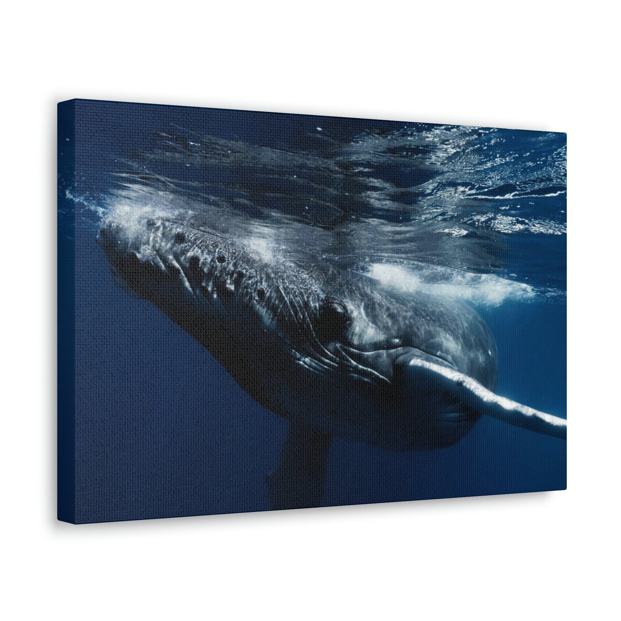 Scripture Walls Blue Whale Hunting Blue Whale on Hunt Print Animal Wall Art Wildlife Canvas Prints Wall Art Ready to Hang Unframed-Express Your Love Gifts