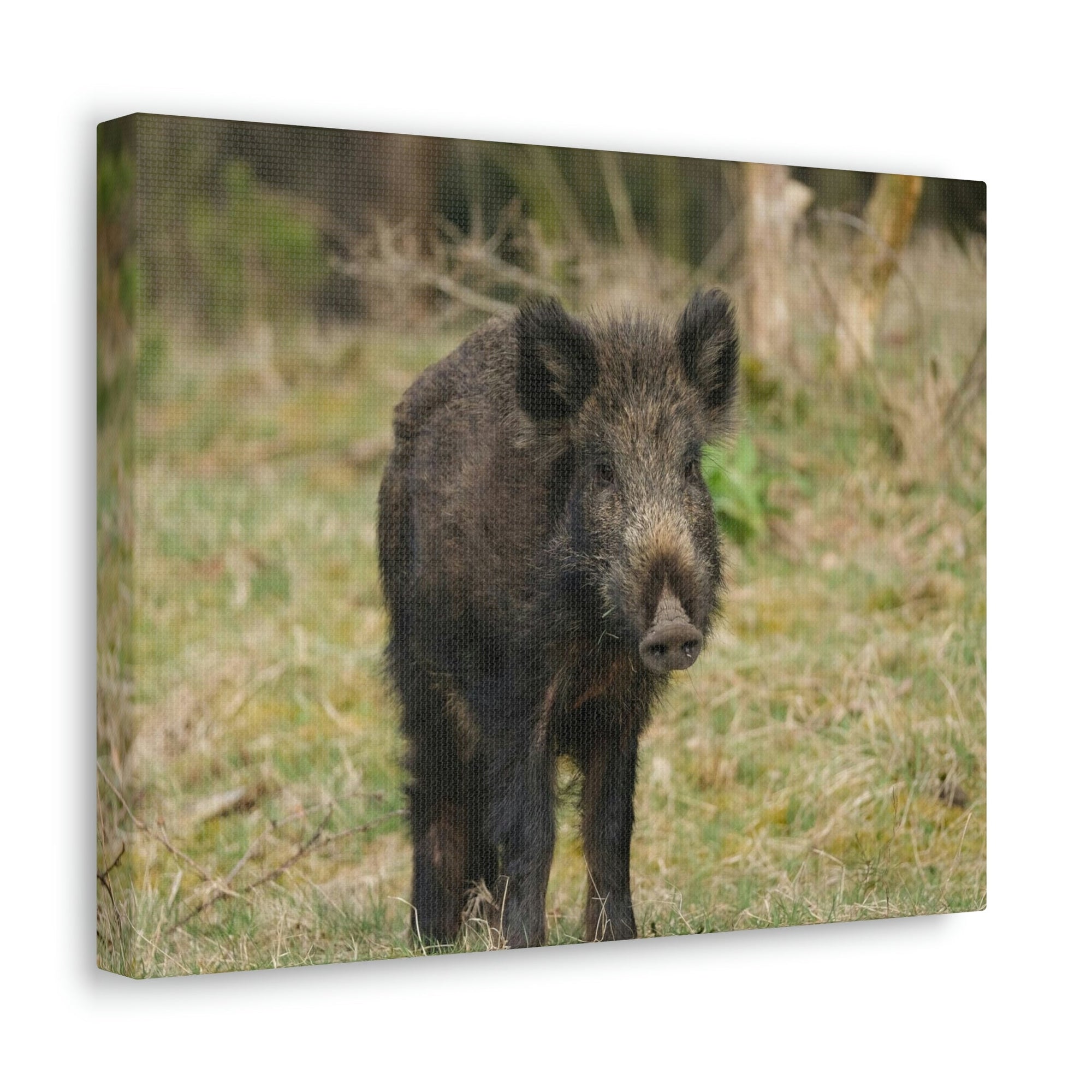 Scripture Walls Boar Hunting Boar on Hunt Print Animal Wall Art Wildlife Canvas Prints Wall Art Ready to Hang Unframed-Express Your Love Gifts