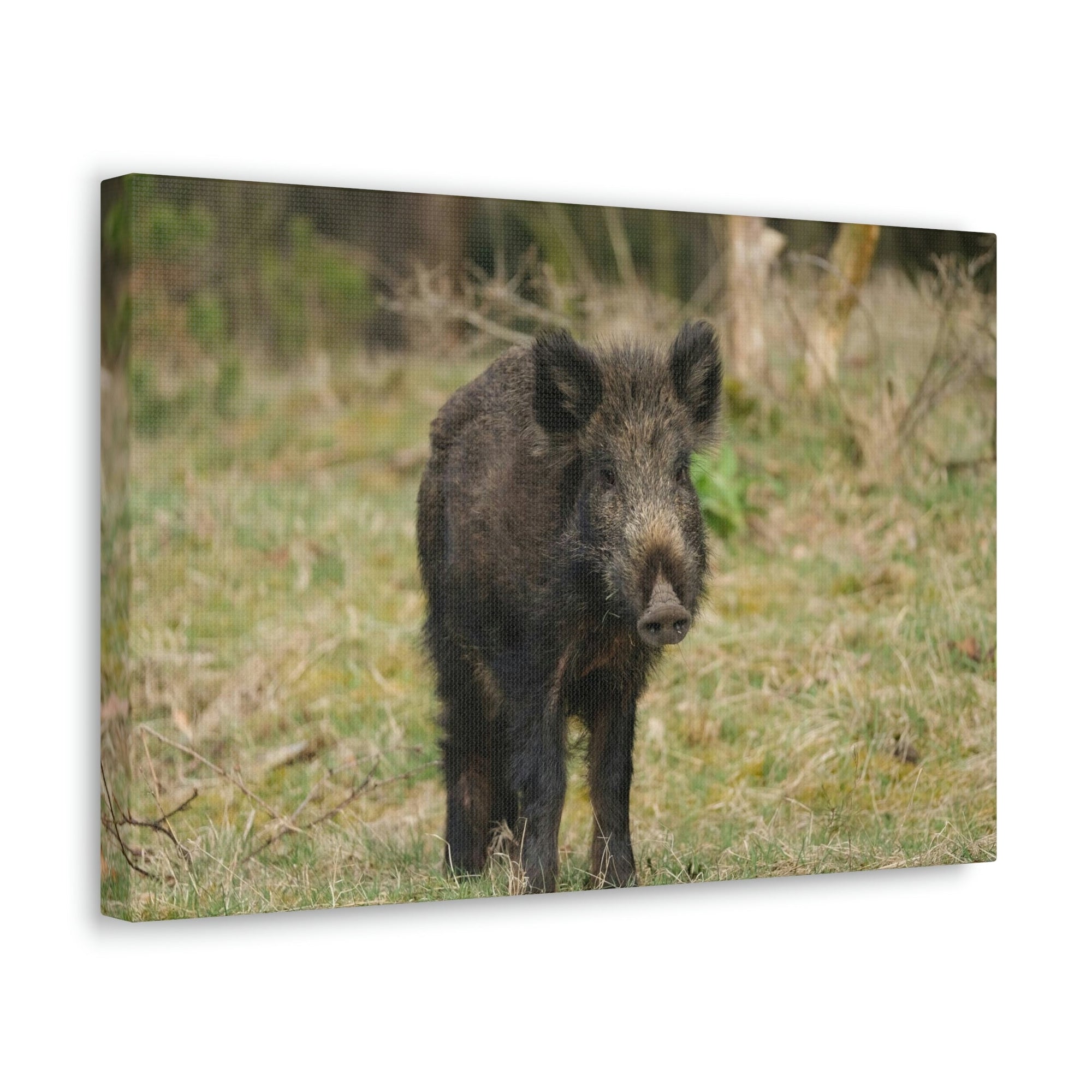 Scripture Walls Boar Hunting Boar on Hunt Print Animal Wall Art Wildlife Canvas Prints Wall Art Ready to Hang Unframed-Express Your Love Gifts