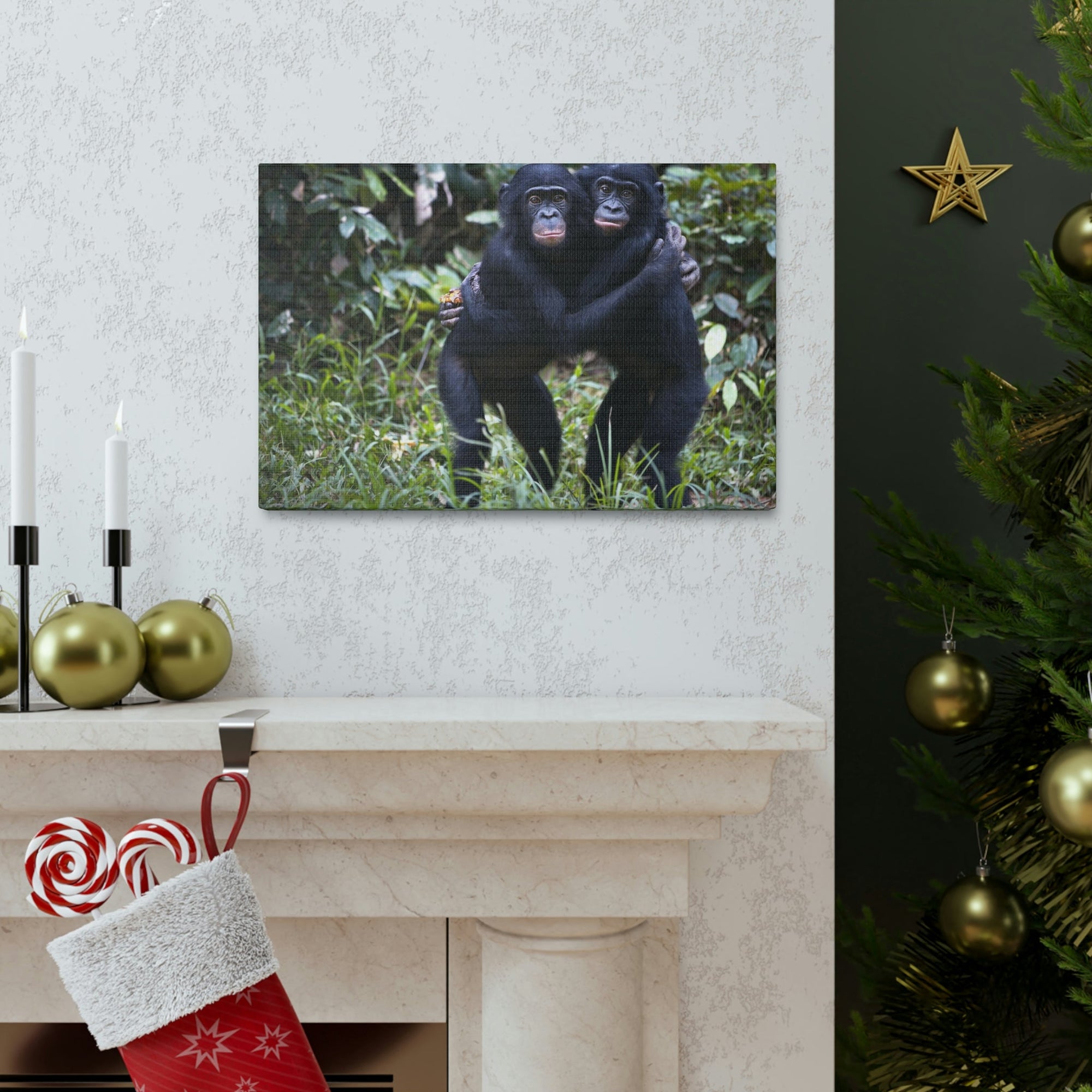 Scripture Walls Bonobo Couple Bonobo Troop Print Animal Wall Art Wildlife Canvas Prints Wall Art Ready to Hang Unframed-Express Your Love Gifts