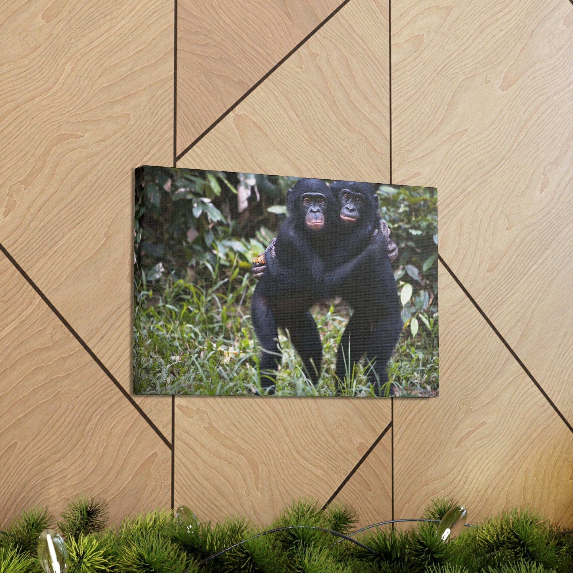 Scripture Walls Bonobo Couple Bonobo Troop Print Animal Wall Art Wildlife Canvas Prints Wall Art Ready to Hang Unframed-Express Your Love Gifts