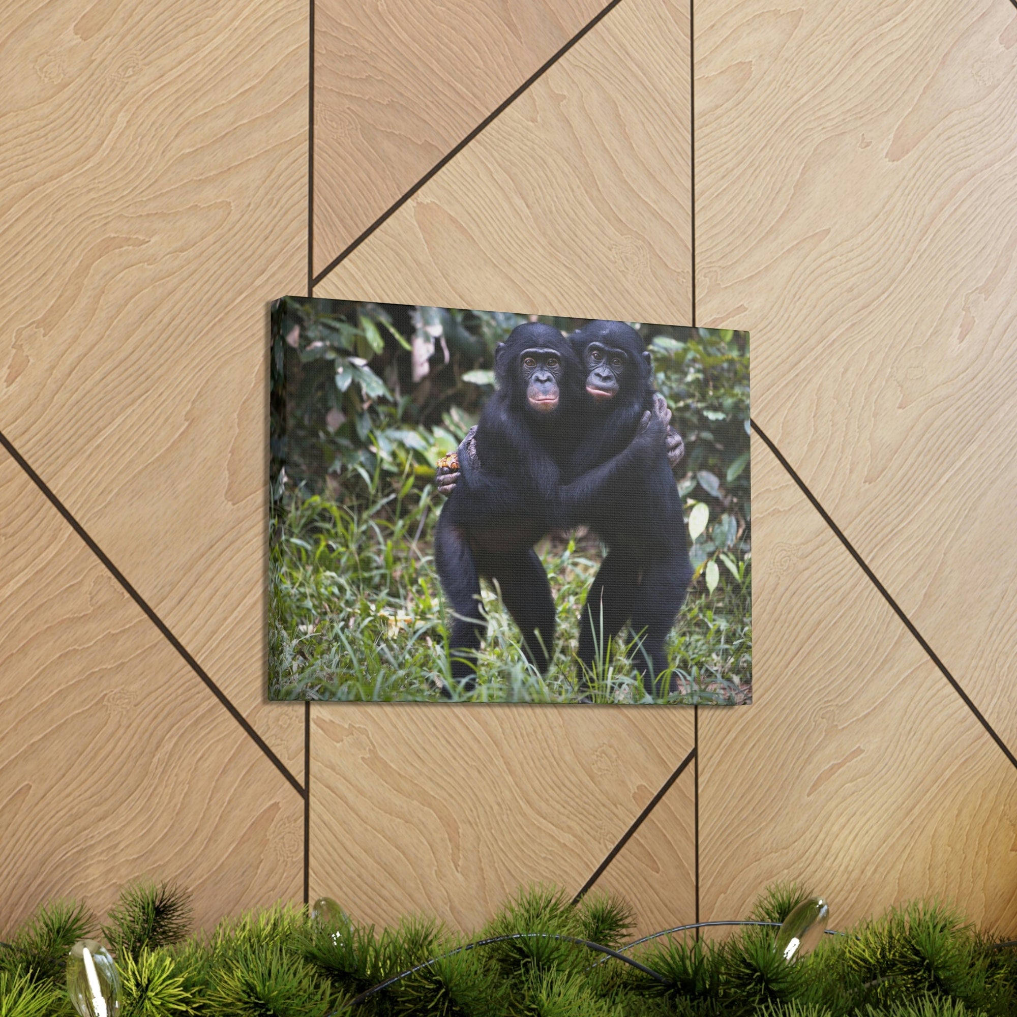 Scripture Walls Bonobo Couple Bonobo Troop Print Animal Wall Art Wildlife Canvas Prints Wall Art Ready to Hang Unframed-Express Your Love Gifts