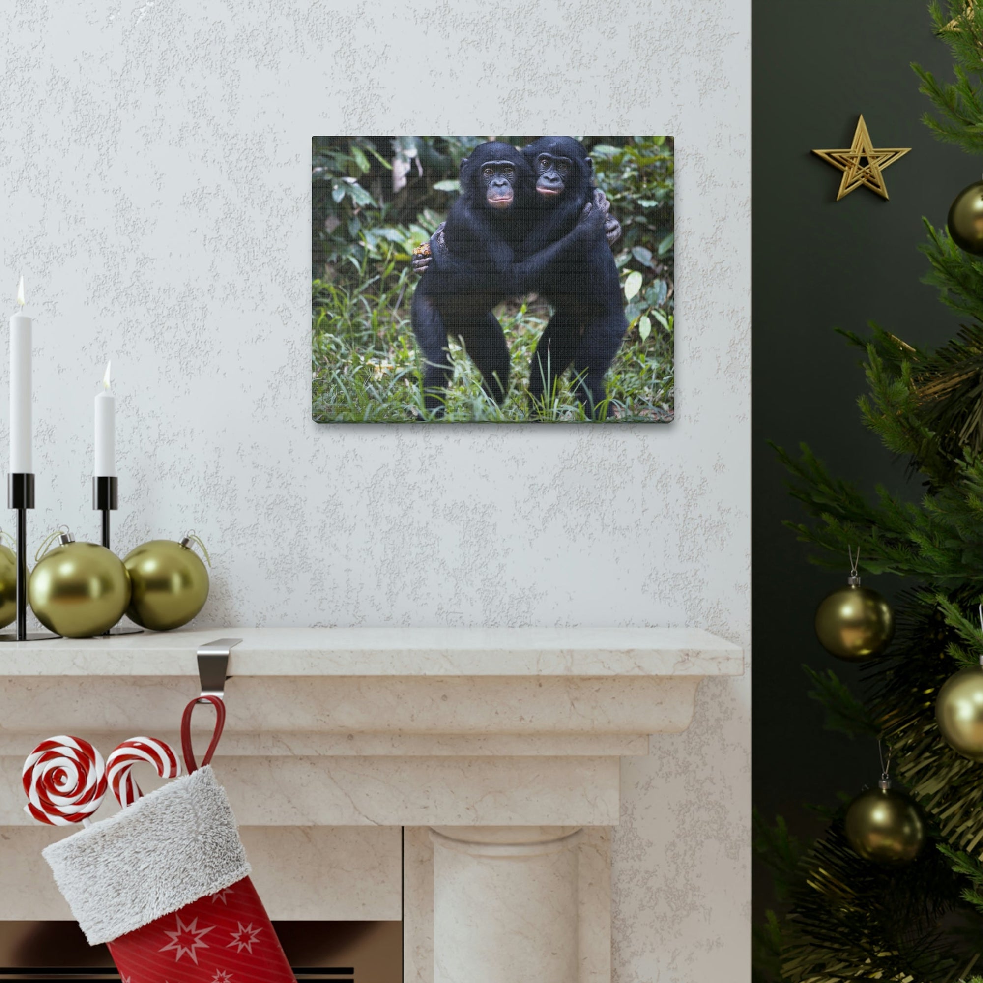 Scripture Walls Bonobo Couple Bonobo Troop Print Animal Wall Art Wildlife Canvas Prints Wall Art Ready to Hang Unframed-Express Your Love Gifts