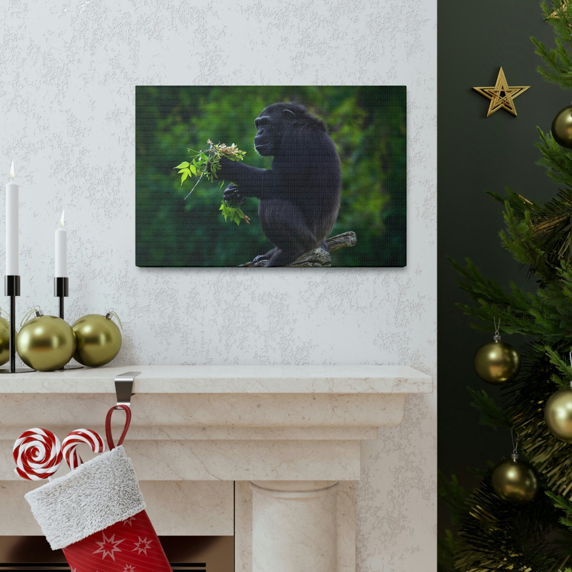 Scripture Walls Bonobo Hunting Bonobo on Hunt Print Animal Wall Art Wildlife Canvas Prints Wall Art Ready to Hang Unframed-Express Your Love Gifts