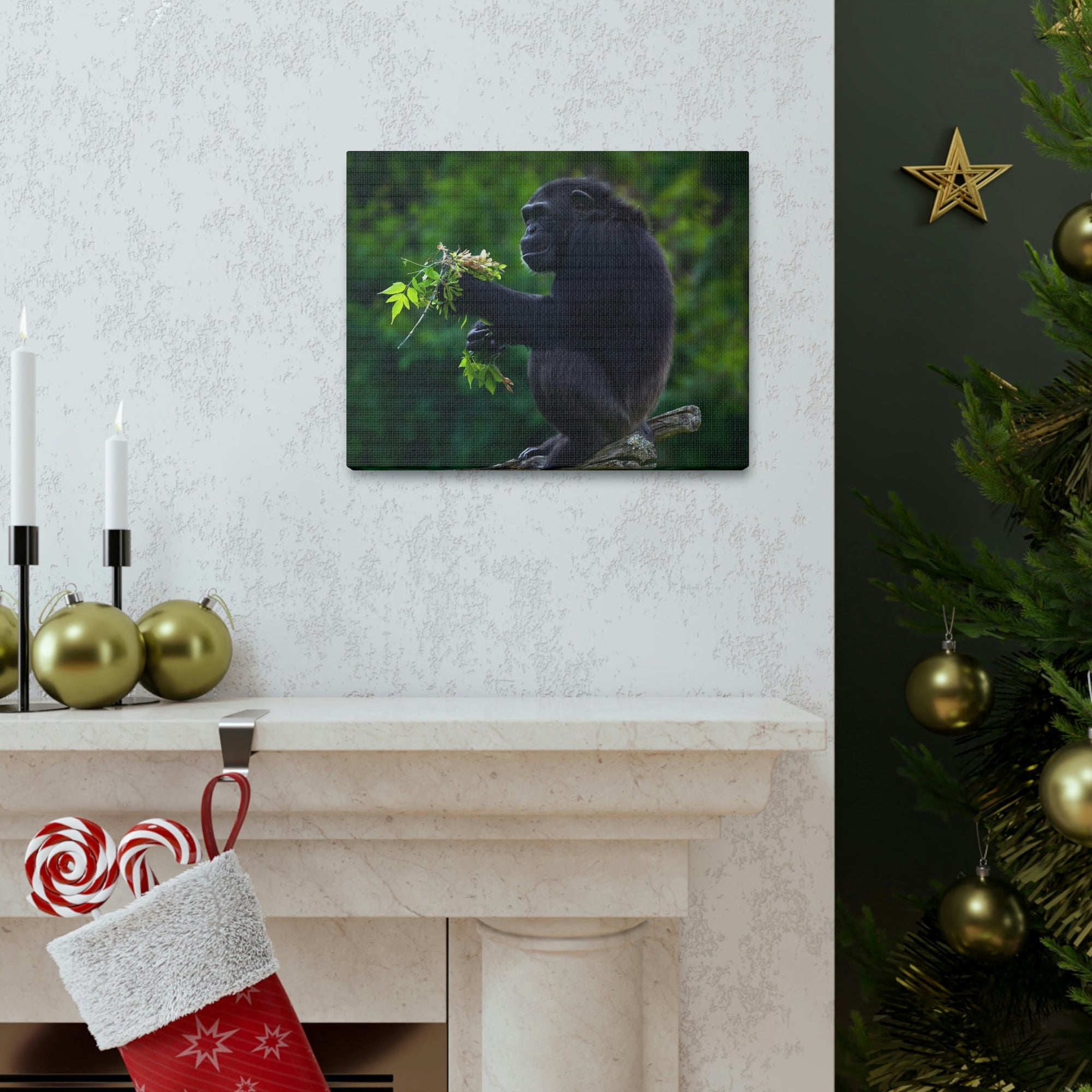 Scripture Walls Bonobo Hunting Bonobo on Hunt Print Animal Wall Art Wildlife Canvas Prints Wall Art Ready to Hang Unframed-Express Your Love Gifts