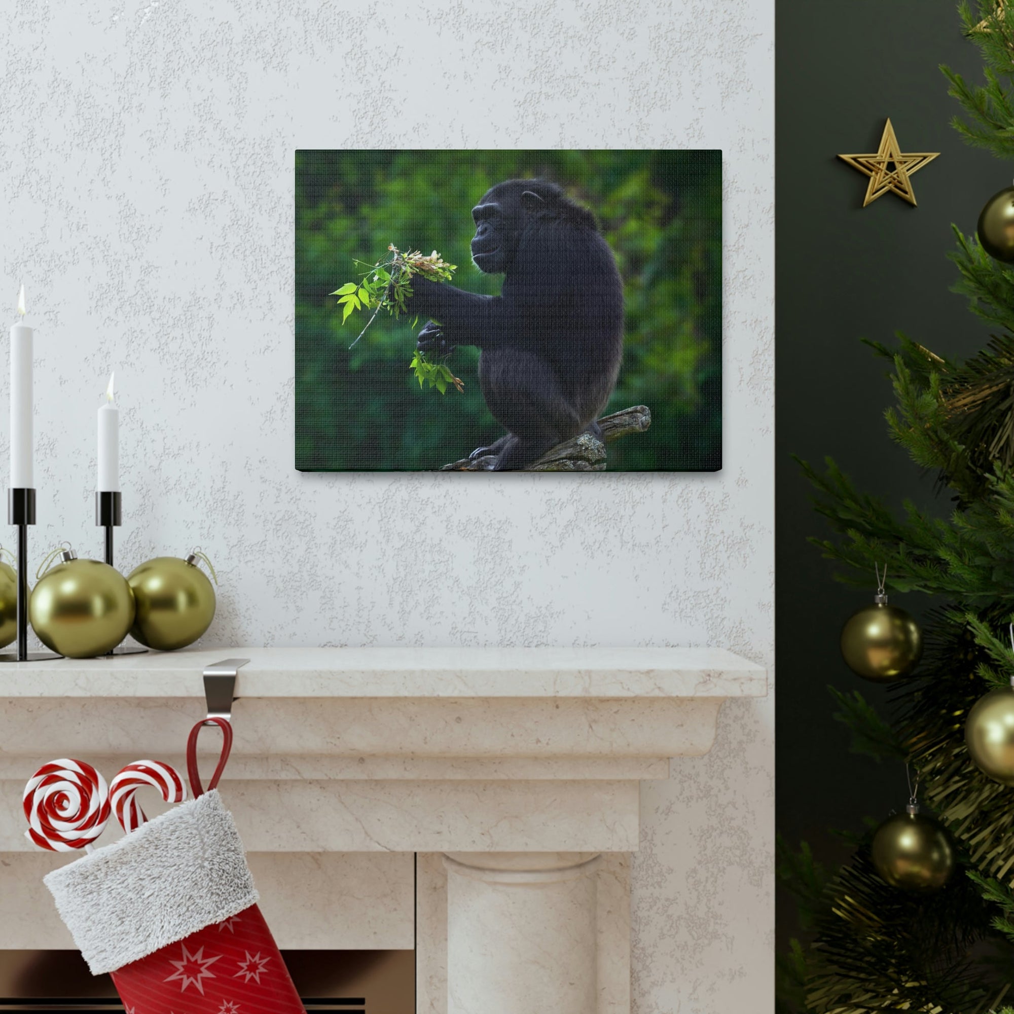 Scripture Walls Bonobo Hunting Bonobo on Hunt Print Animal Wall Art Wildlife Canvas Prints Wall Art Ready to Hang Unframed-Express Your Love Gifts