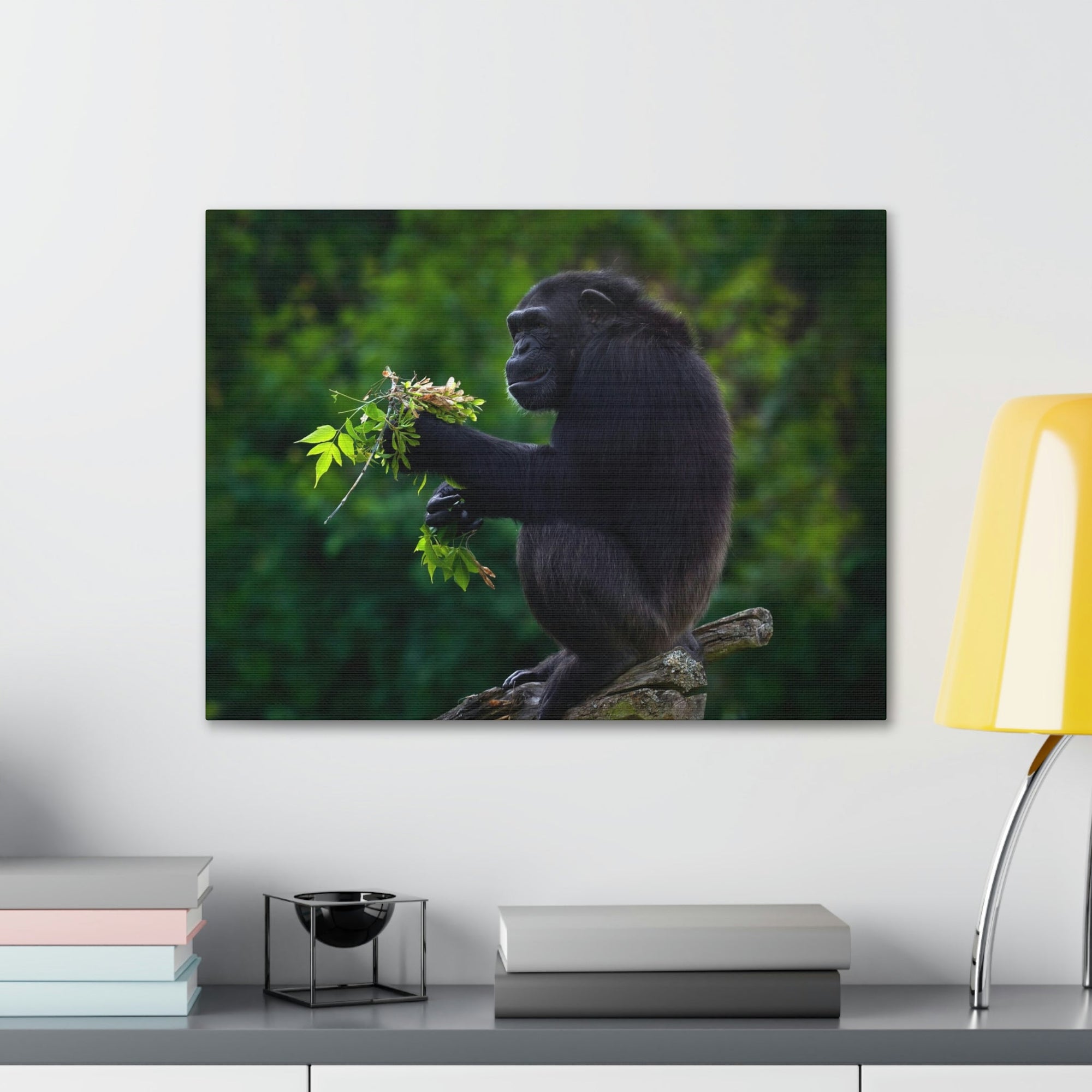 Scripture Walls Bonobo Hunting Bonobo on Hunt Print Animal Wall Art Wildlife Canvas Prints Wall Art Ready to Hang Unframed-Express Your Love Gifts