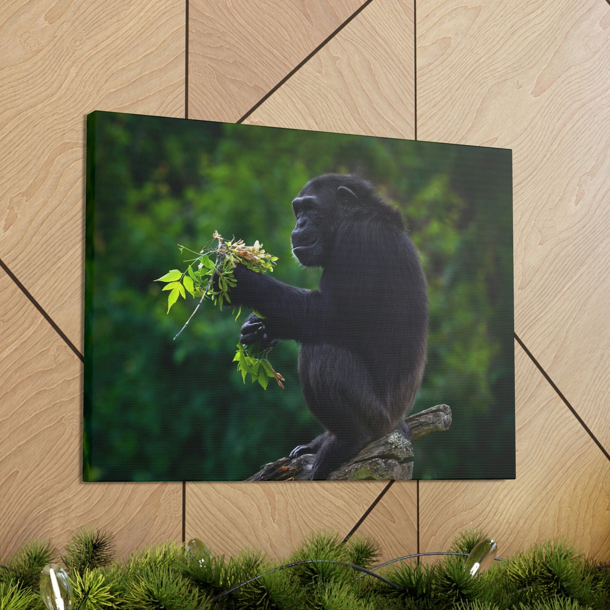 Scripture Walls Bonobo Hunting Bonobo on Hunt Print Animal Wall Art Wildlife Canvas Prints Wall Art Ready to Hang Unframed-Express Your Love Gifts