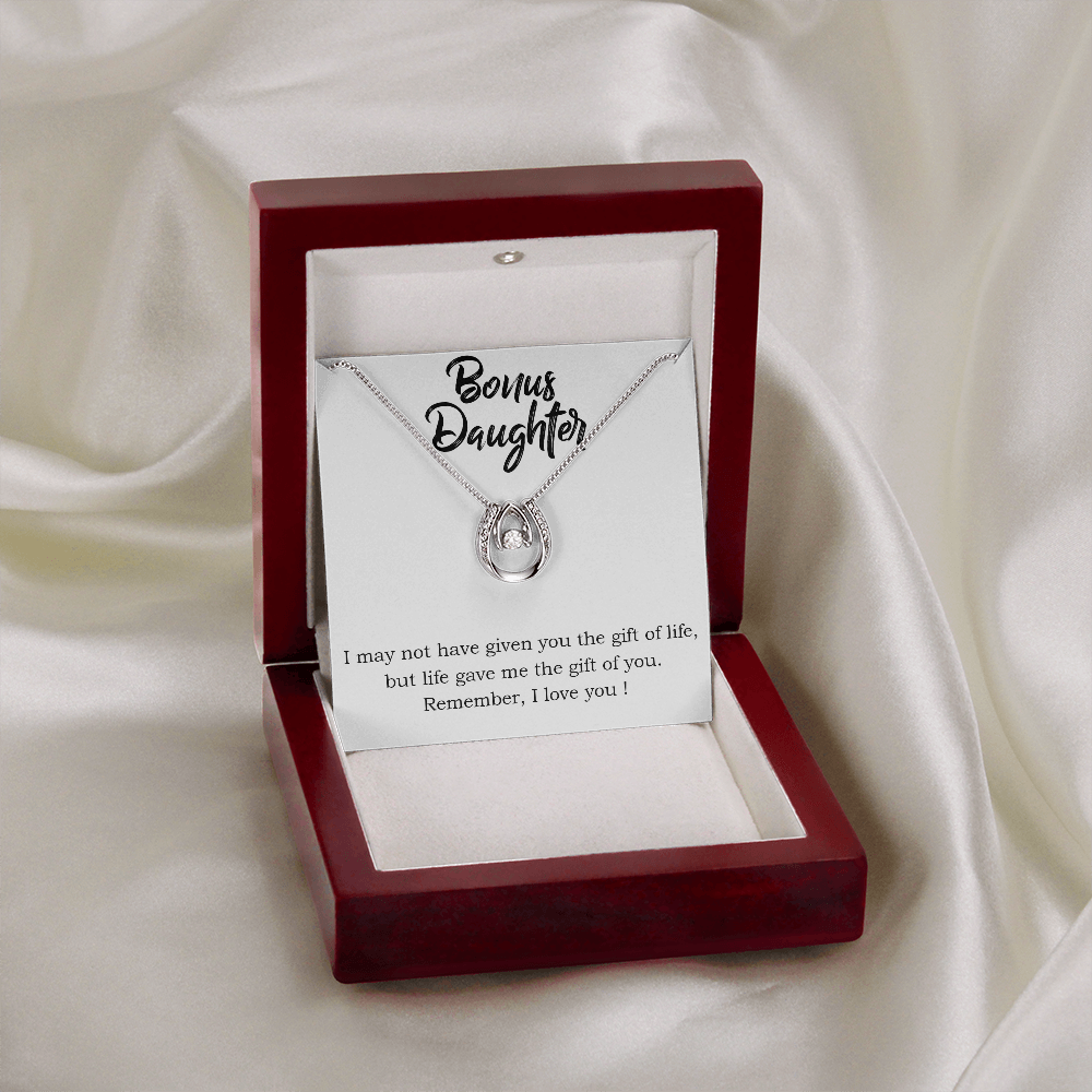 Bonus Daughter Gift of You Lucky Horseshoe Necklace Message Card 14k w CZ Crystals-Express Your Love Gifts