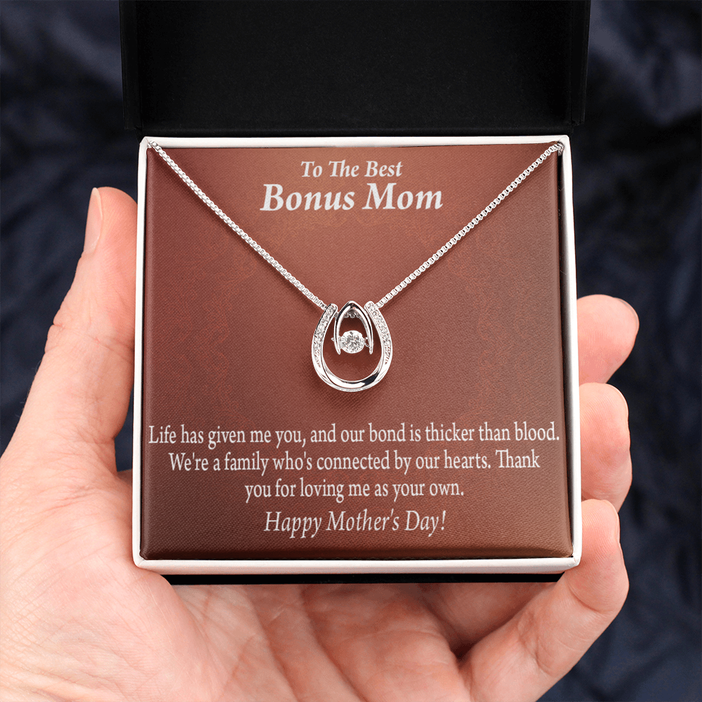 Bonus Mom Happy Mothers Day Lucky Horseshoe Necklace Message Card 14k w CZ Crystals-Express Your Love Gifts