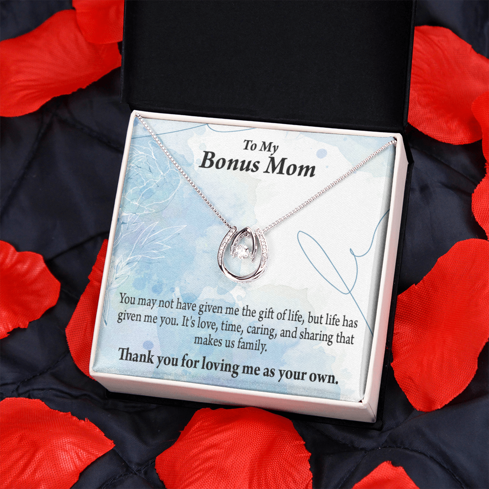 Bonus Mom Loving Me Lucky Horseshoe Necklace Message Card 14k w CZ Crystals-Express Your Love Gifts