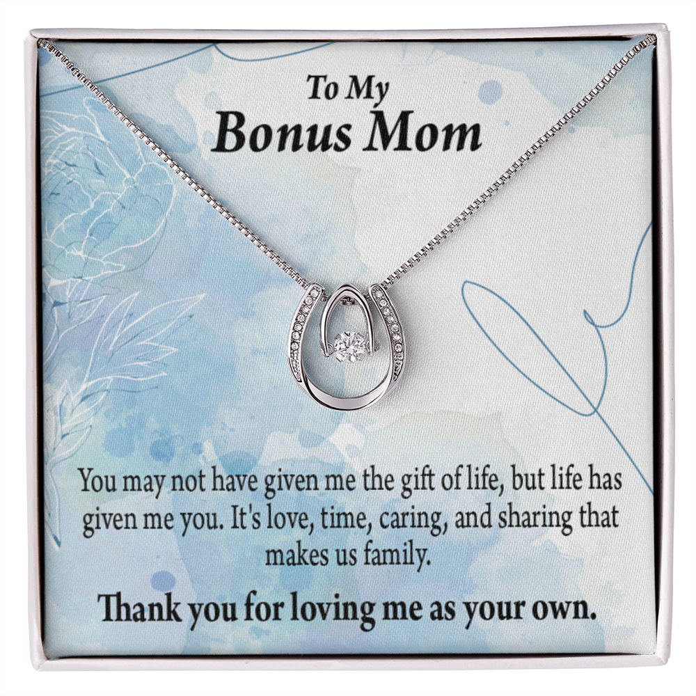 Bonus Mom Loving Me Lucky Horseshoe Necklace Message Card 14k w CZ Crystals-Express Your Love Gifts