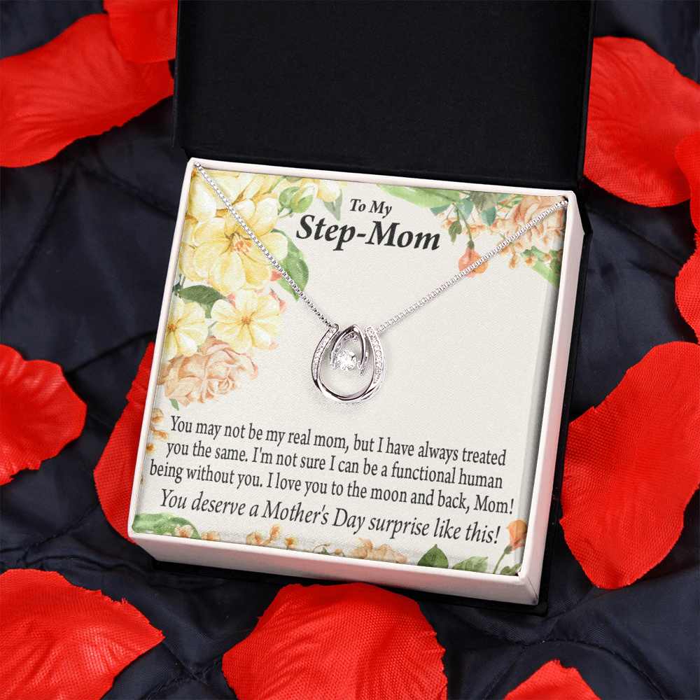 Bonus Mom Moon and Back Lucky Horseshoe Necklace Message Card 14k w CZ Crystals-Express Your Love Gifts