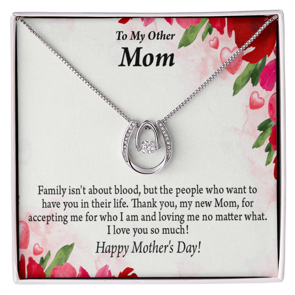 Bonus Mom My Unbiological Mom Lucky Horseshoe Necklace Message Card 14k w CZ Crystals-Express Your Love Gifts