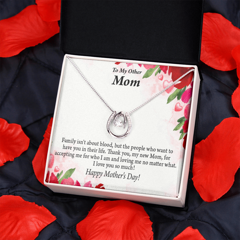 Bonus Mom My Unbiological Mom Lucky Horseshoe Necklace Message Card 14k w CZ Crystals-Express Your Love Gifts