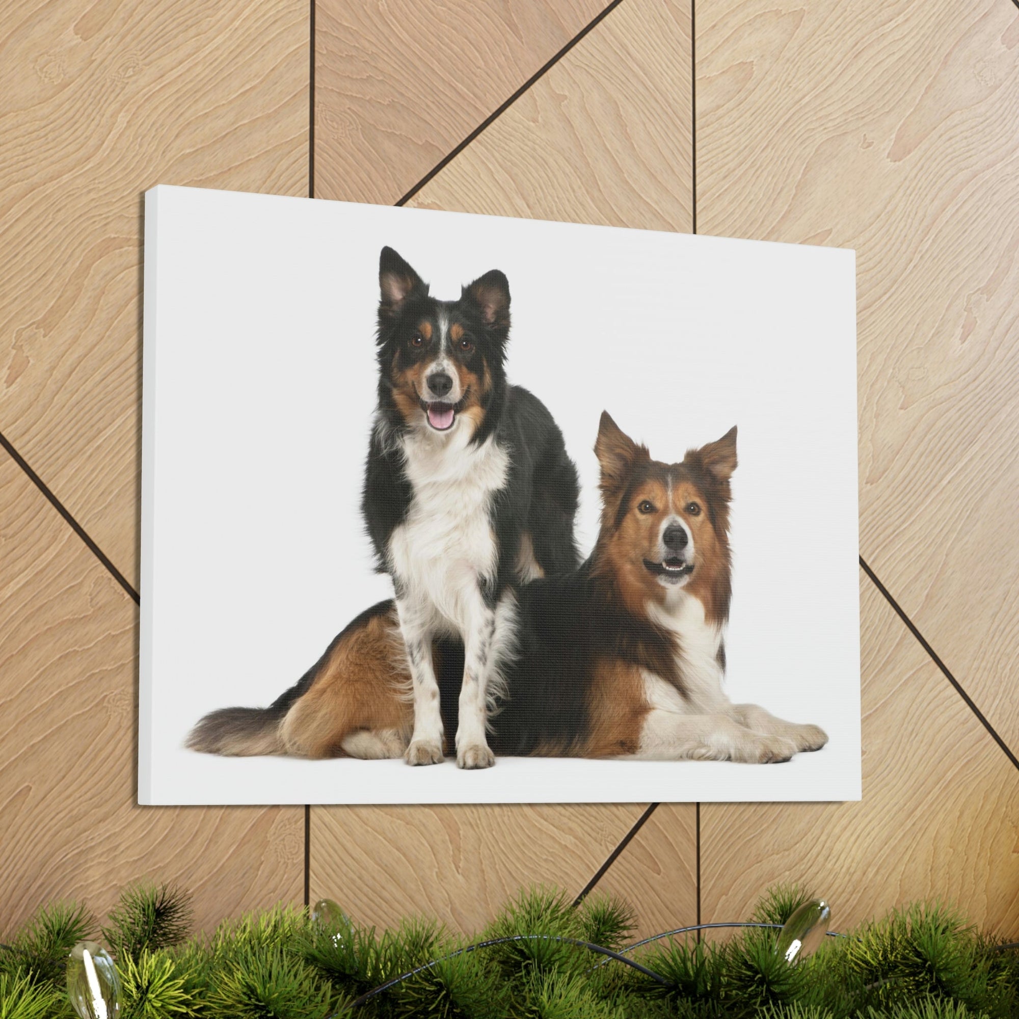 Scripture Walls Border Collie Couple Border Collie Troop Print Animal Wall Art Wildlife Canvas Prints Wall Art Ready to Hang Unframed-Express Your Love Gifts