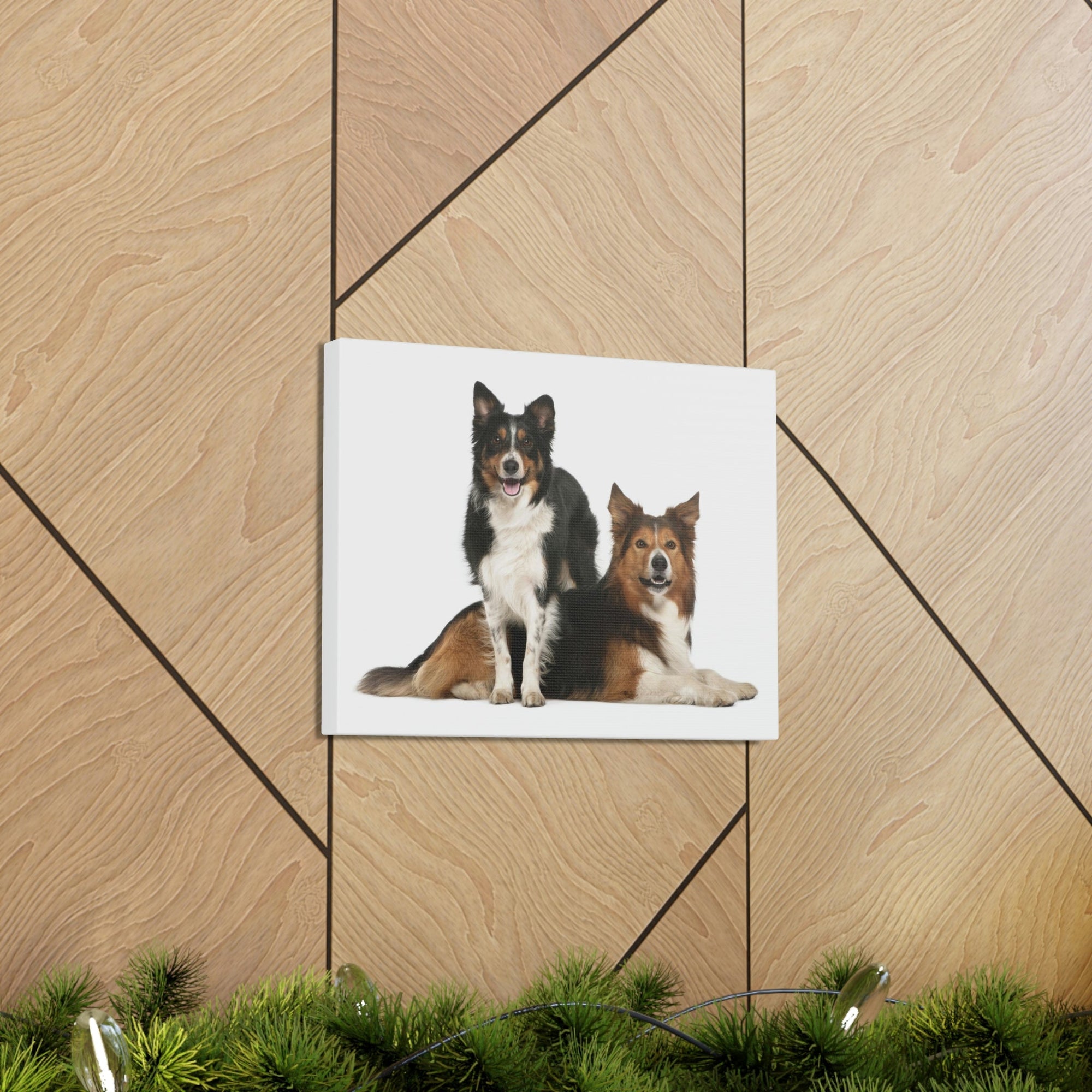 Scripture Walls Border Collie Couple Border Collie Troop Print Animal Wall Art Wildlife Canvas Prints Wall Art Ready to Hang Unframed-Express Your Love Gifts