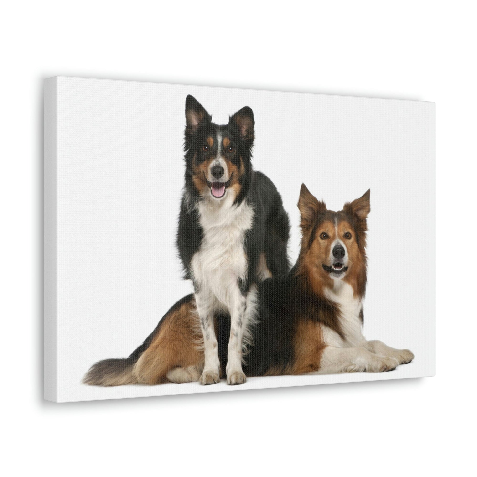 Scripture Walls Border Collie Couple Border Collie Troop Print Animal Wall Art Wildlife Canvas Prints Wall Art Ready to Hang Unframed-Express Your Love Gifts