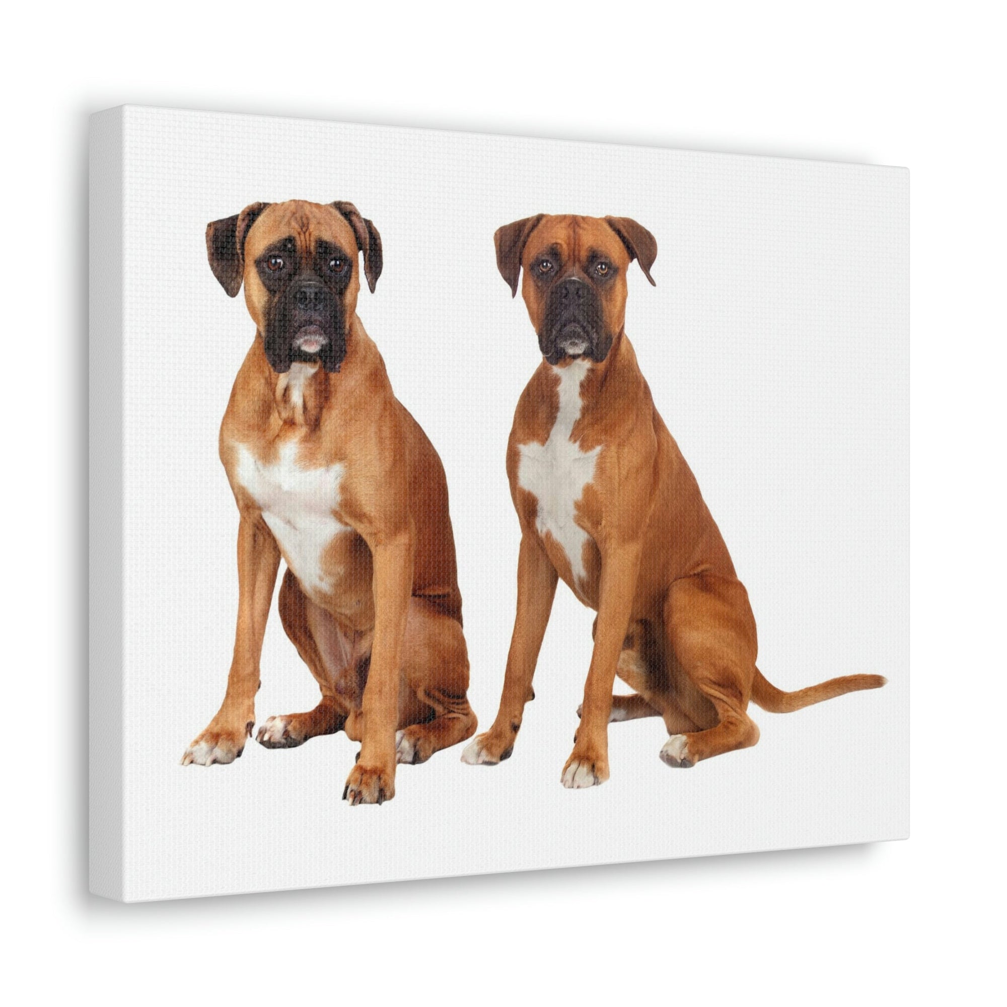 Scripture Walls Boxer Dog Couple Boxer Dog Troop Print Animal Wall Art Wildlife Canvas Prints Wall Art Ready to Hang Unframed-Express Your Love Gifts