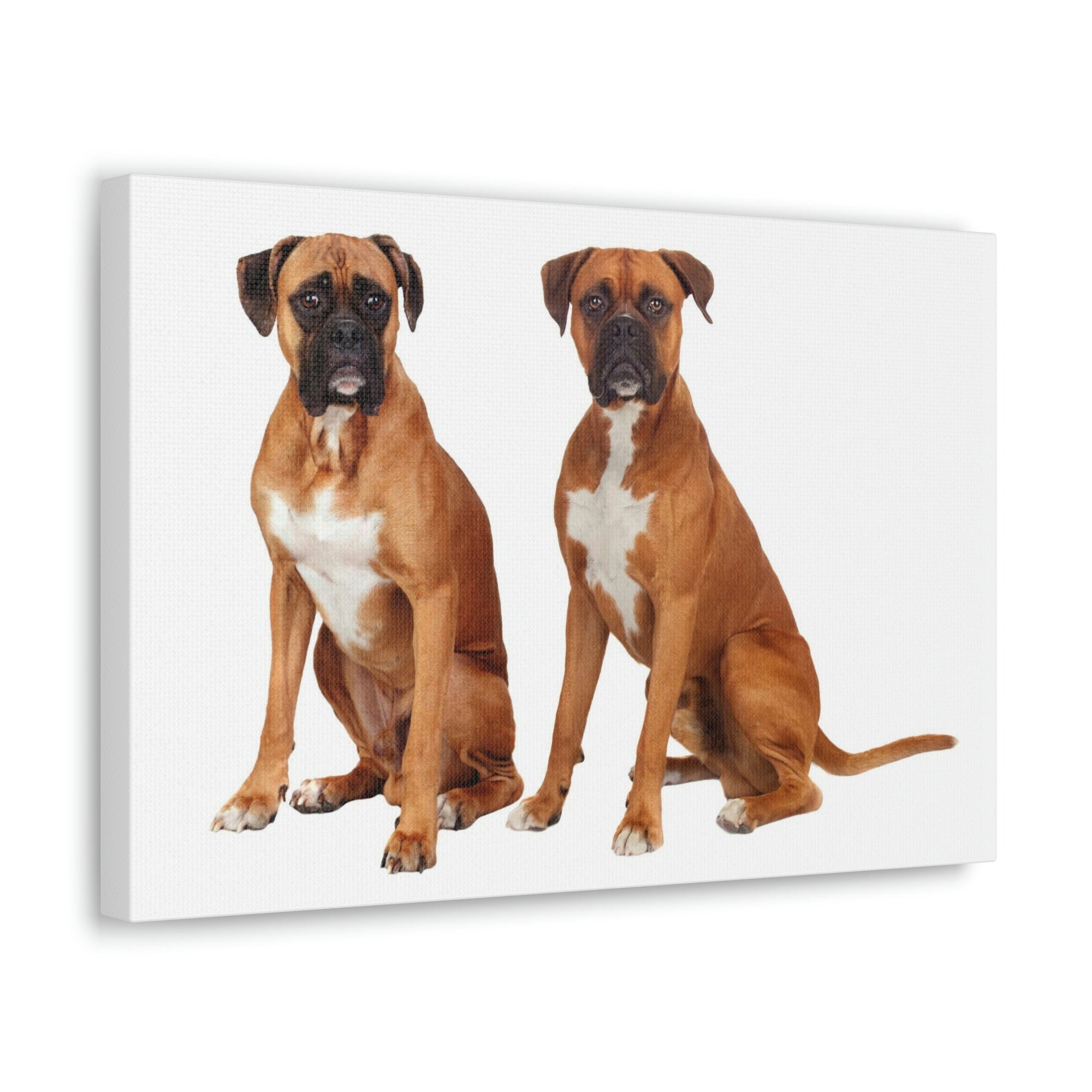 Scripture Walls Boxer Dog Couple Boxer Dog Troop Print Animal Wall Art Wildlife Canvas Prints Wall Art Ready to Hang Unframed-Express Your Love Gifts