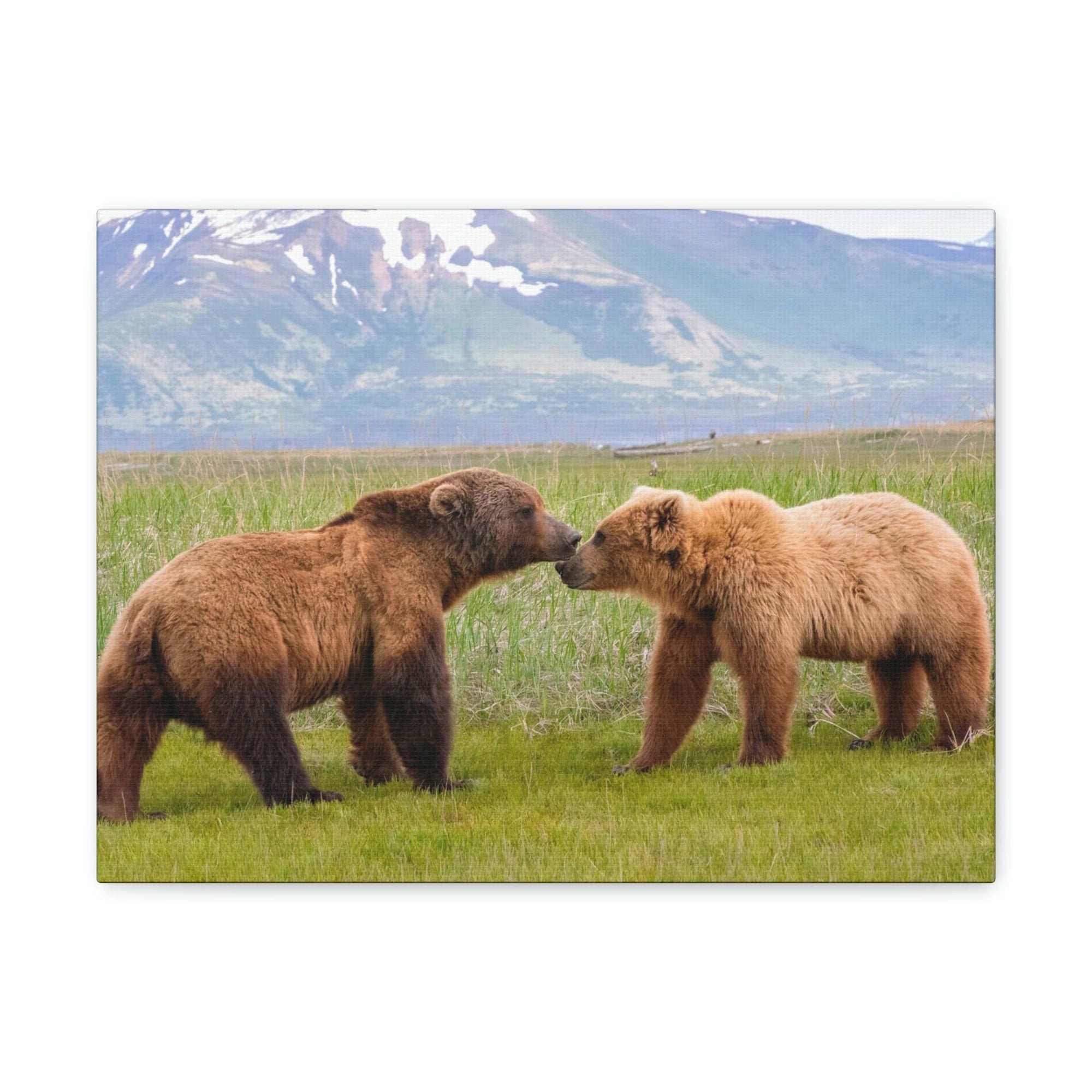 Scripture Walls Brown Bear Couple Brown Bear Troop Print Animal Wall Art Wildlife Canvas Prints Wall Art Ready to Hang Unframed-Express Your Love Gifts