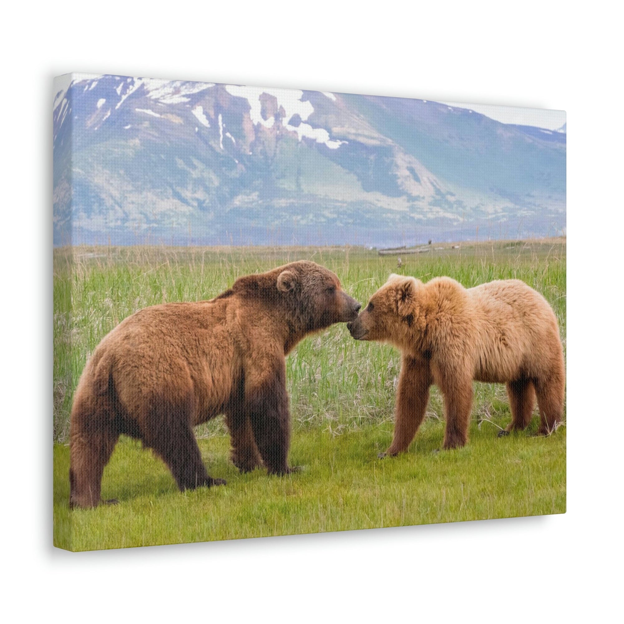 Scripture Walls Brown Bear Couple Brown Bear Troop Print Animal Wall Art Wildlife Canvas Prints Wall Art Ready to Hang Unframed-Express Your Love Gifts