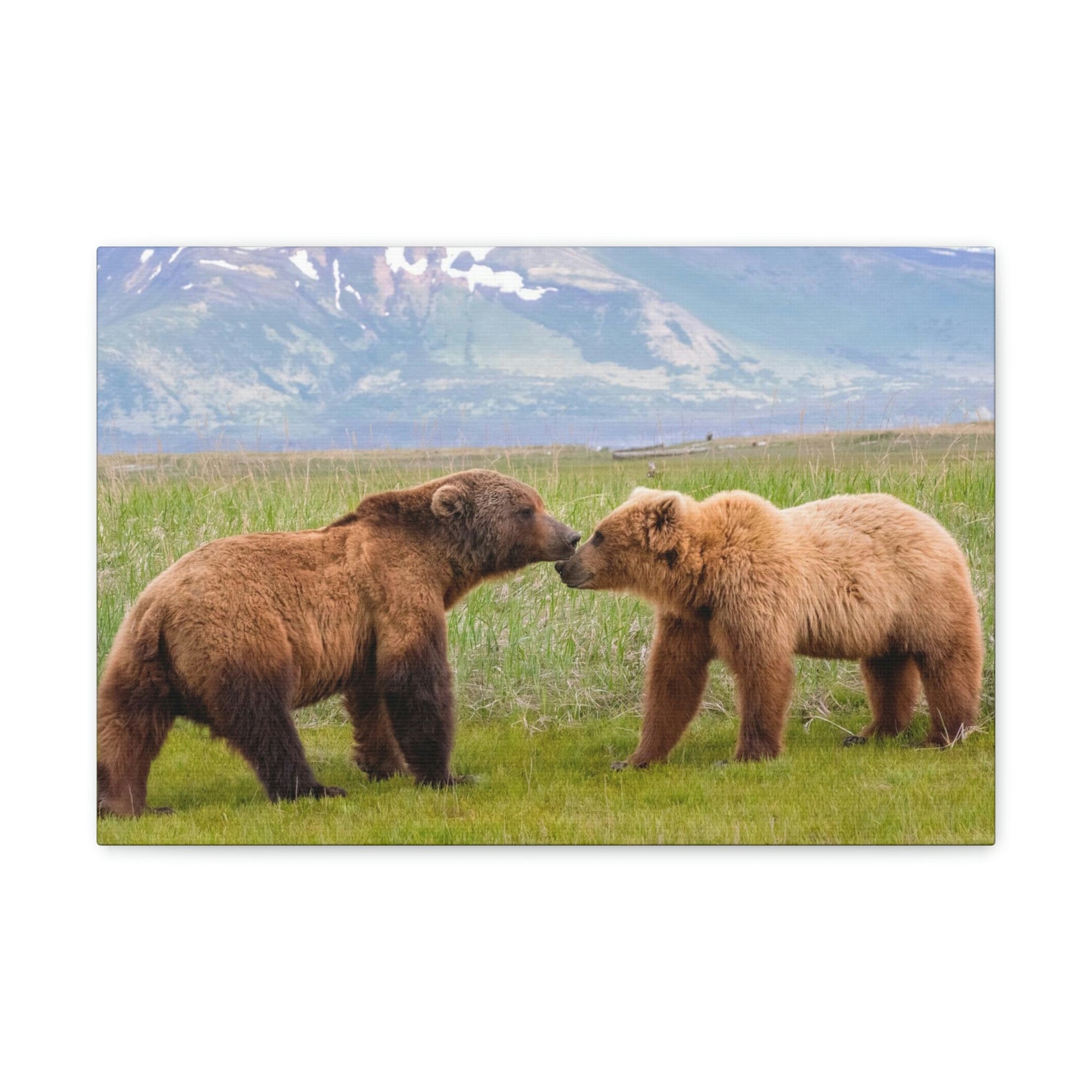 Scripture Walls Brown Bear Couple Brown Bear Troop Print Animal Wall Art Wildlife Canvas Prints Wall Art Ready to Hang Unframed-Express Your Love Gifts