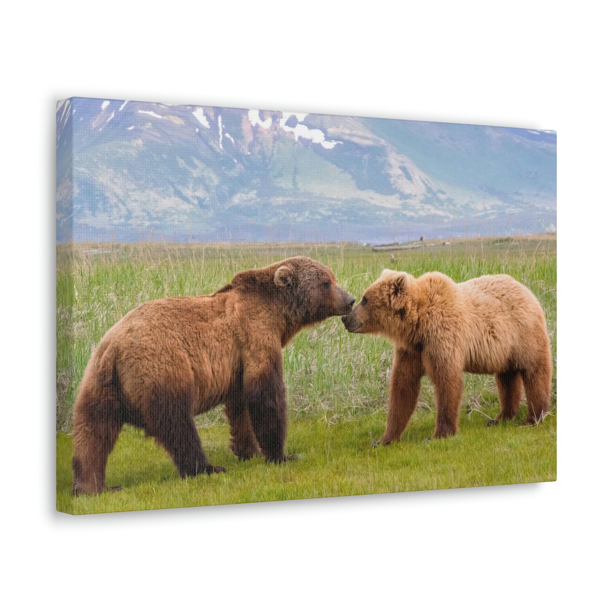 Scripture Walls Brown Bear Couple Brown Bear Troop Print Animal Wall Art Wildlife Canvas Prints Wall Art Ready to Hang Unframed-Express Your Love Gifts