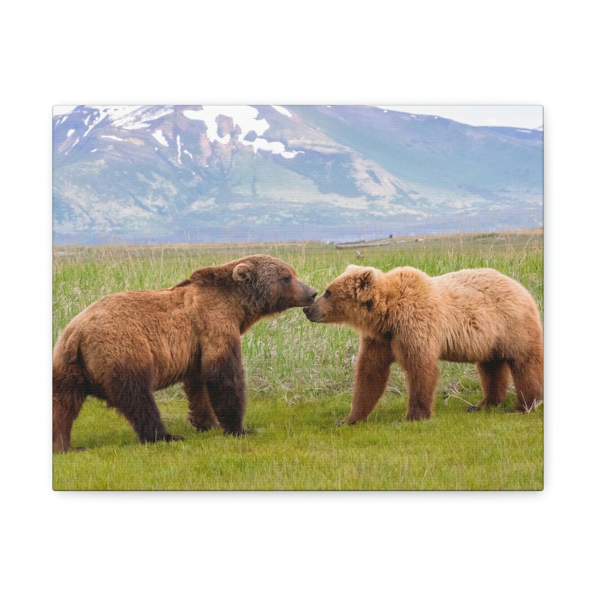 Scripture Walls Brown Bear Couple Brown Bear Troop Print Animal Wall Art Wildlife Canvas Prints Wall Art Ready to Hang Unframed-Express Your Love Gifts