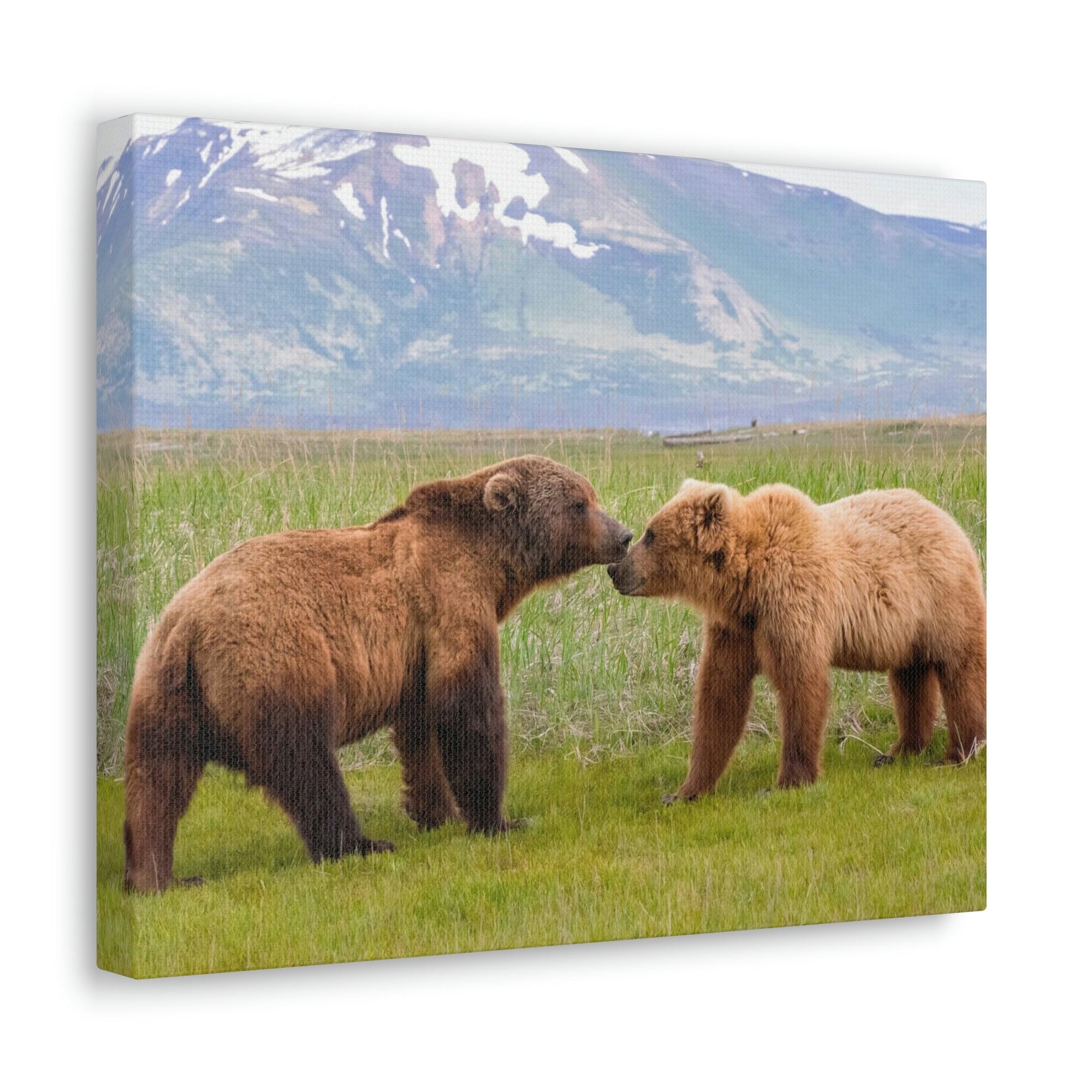 Scripture Walls Brown Bear Couple Brown Bear Troop Print Animal Wall Art Wildlife Canvas Prints Wall Art Ready to Hang Unframed-Express Your Love Gifts