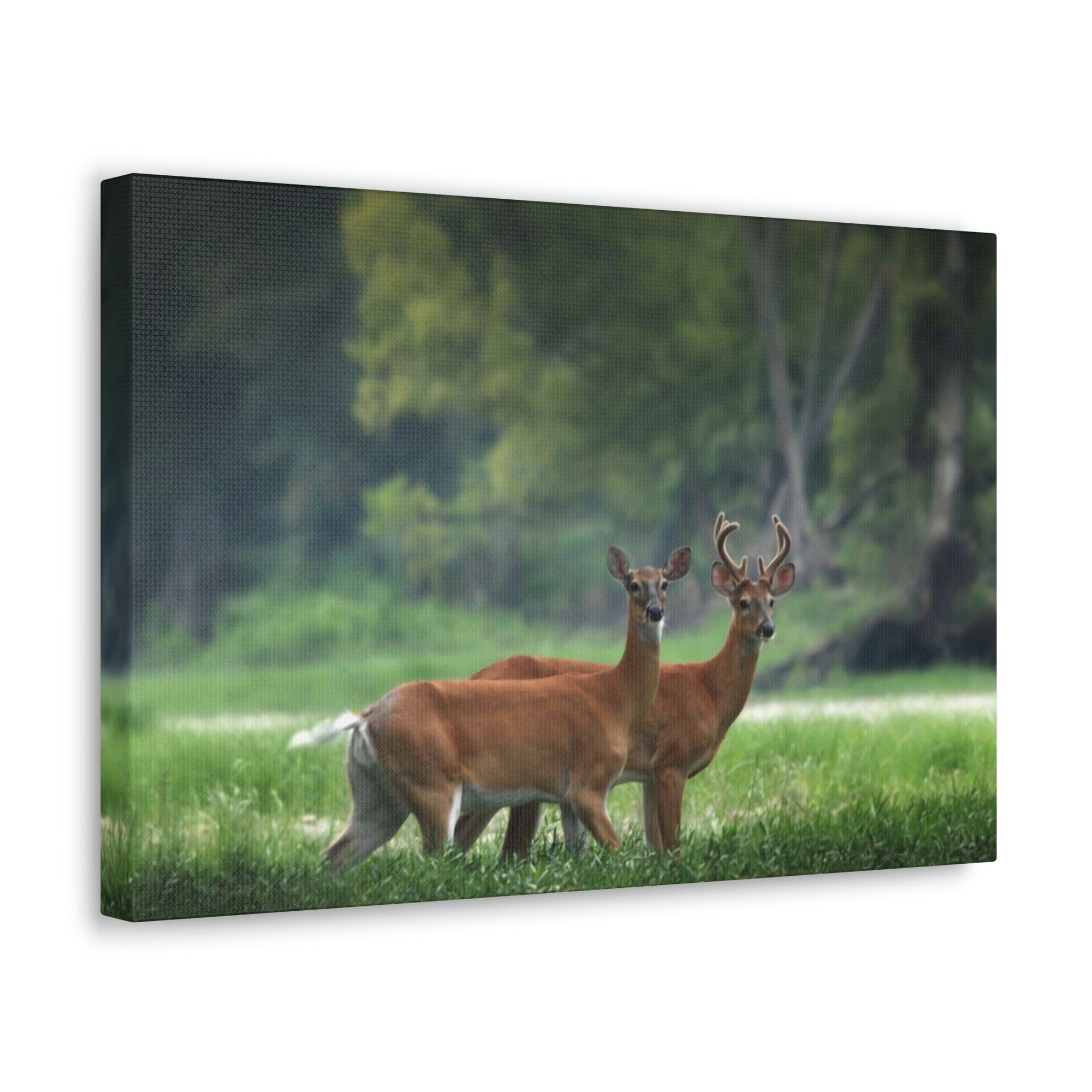 Scripture Walls Buck Couple Buck Troop Print Animal Wall Art Wildlife Canvas Prints Wall Art Ready to Hang Unframed-Express Your Love Gifts