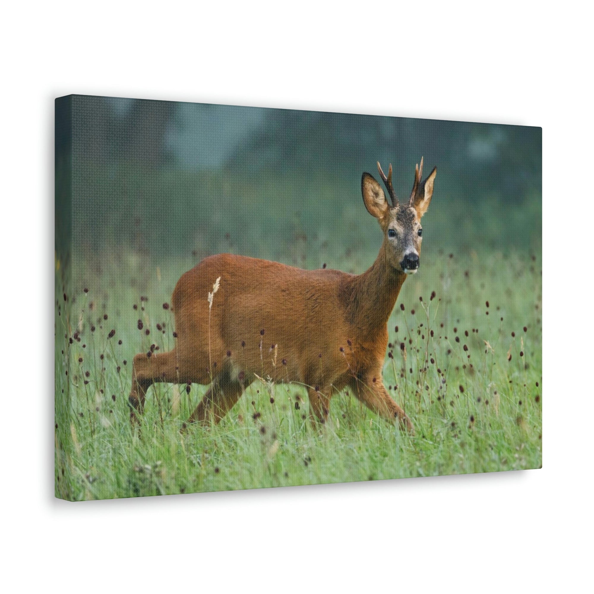 Scripture Walls Buck Hunting Buck on Hunt Print Animal Wall Art Wildlife Canvas Prints Wall Art Ready to Hang Unframed-Express Your Love Gifts