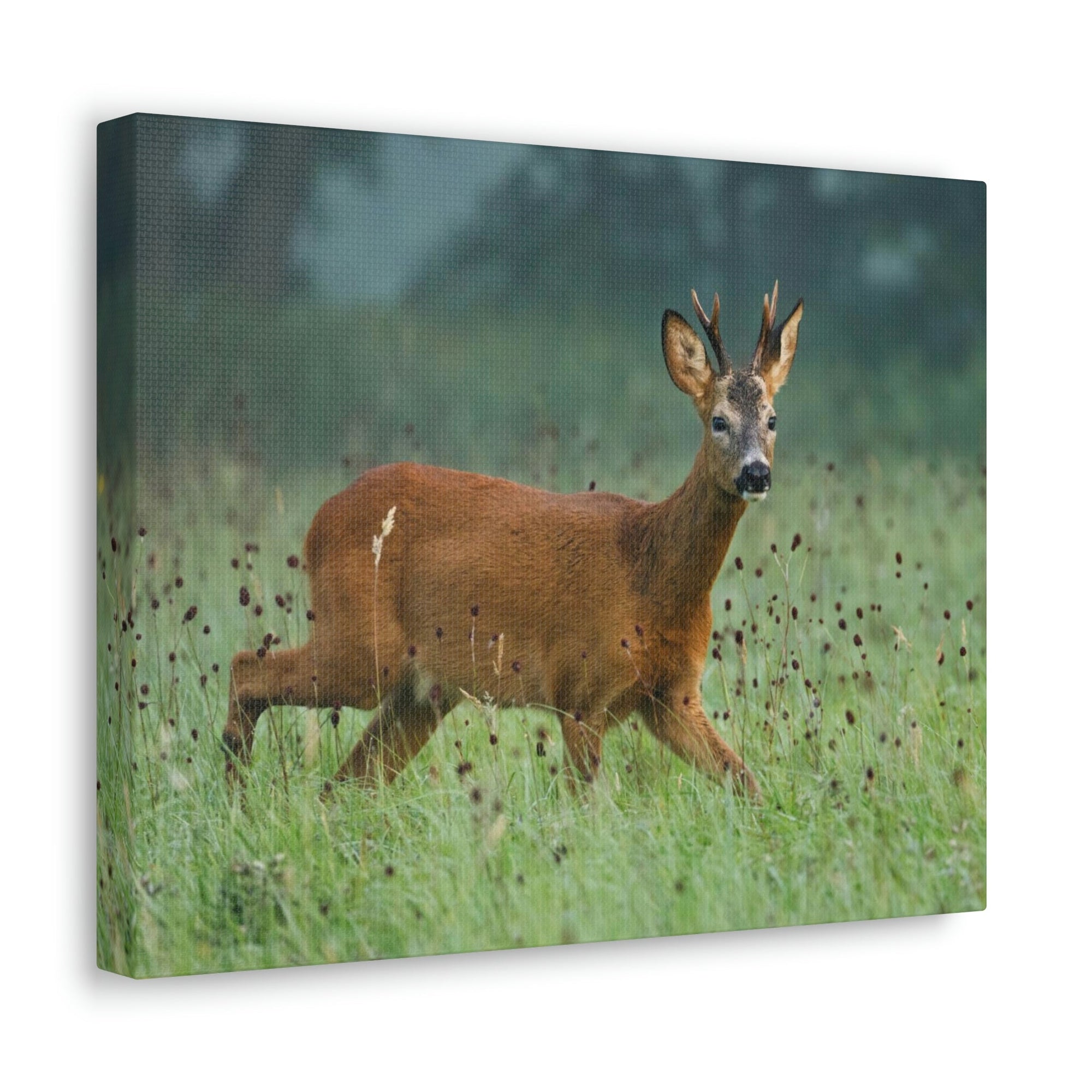 Scripture Walls Buck Hunting Buck on Hunt Print Animal Wall Art Wildlife Canvas Prints Wall Art Ready to Hang Unframed-Express Your Love Gifts