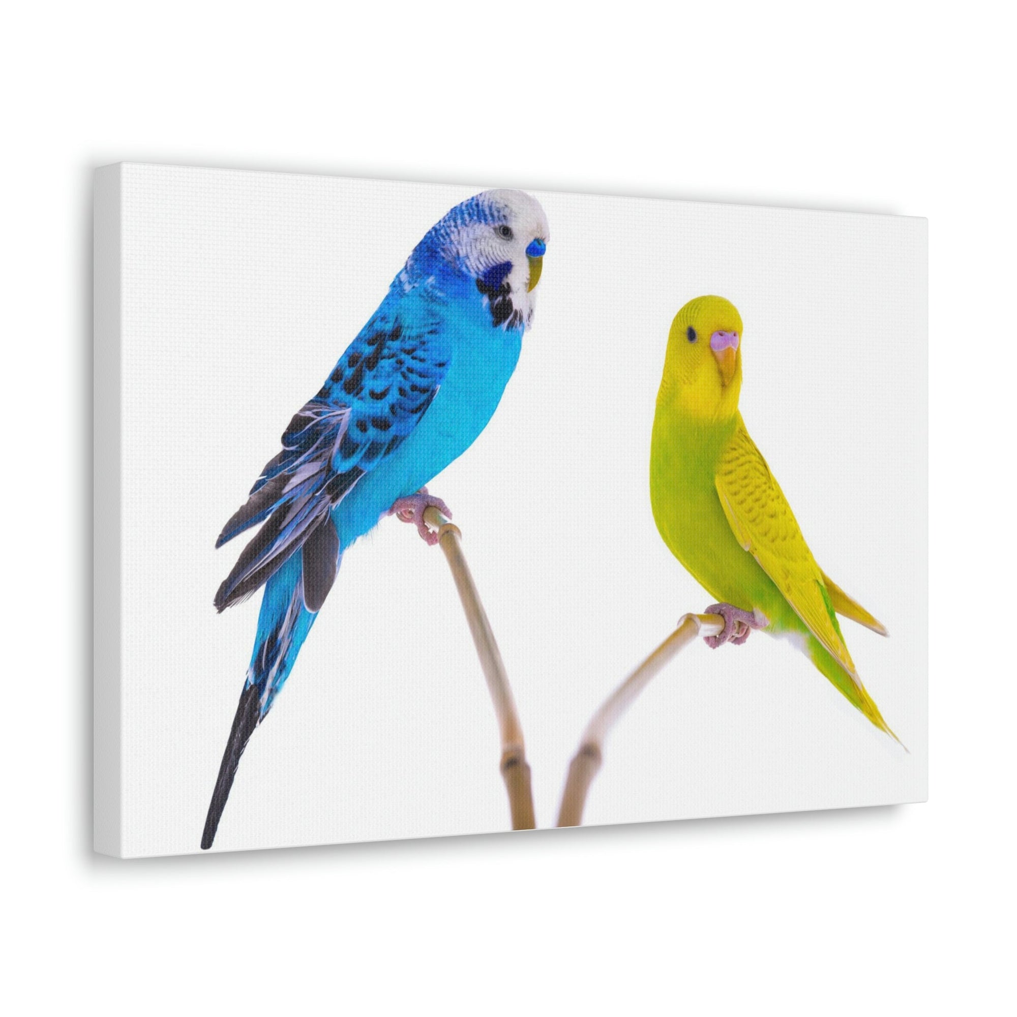 Scripture Walls Budgie Couple Budgie Troop Print Animal Wall Art Wildlife Canvas Prints Wall Art Ready to Hang Unframed-Express Your Love Gifts